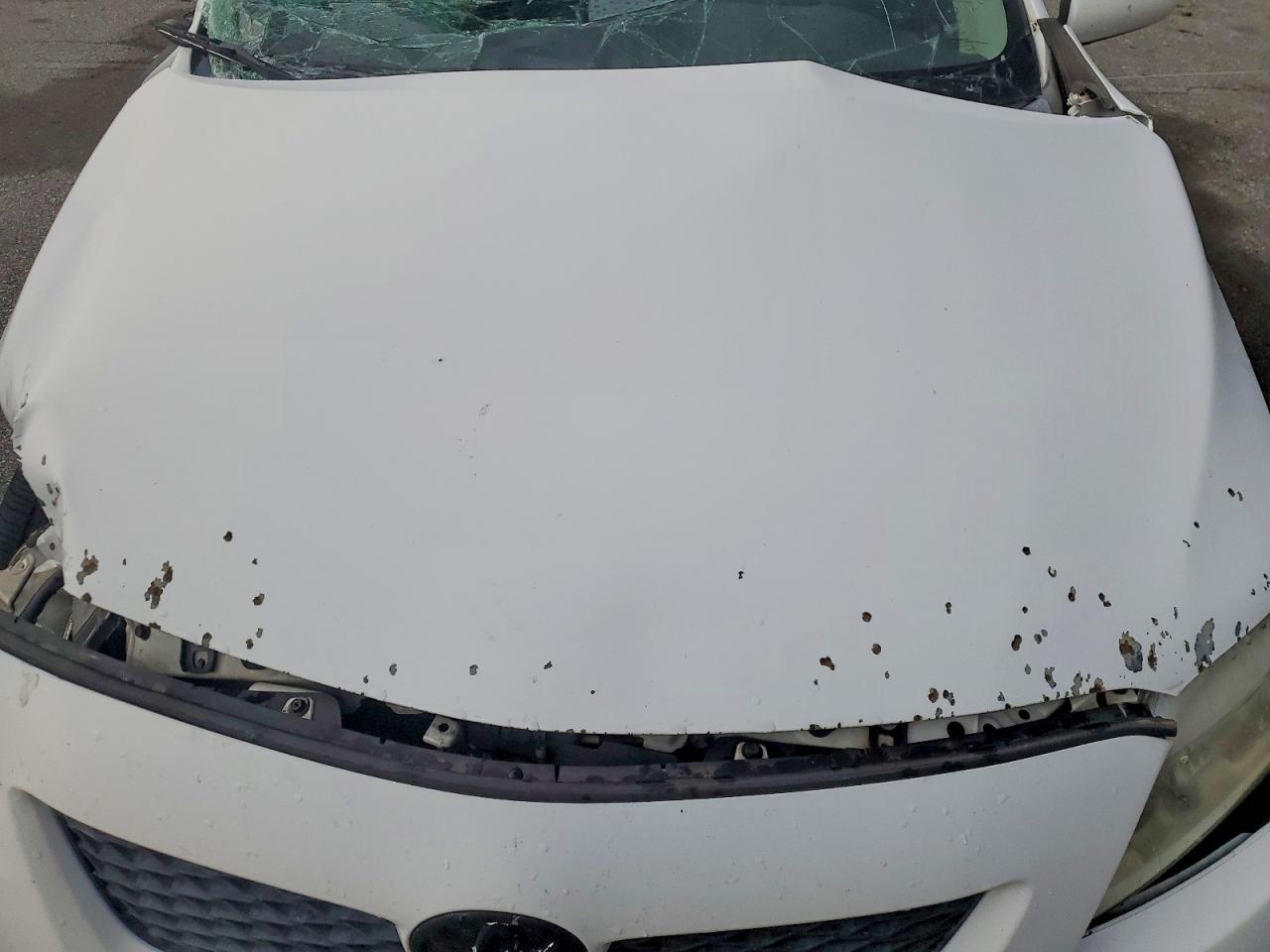 2010 Toyota Corolla S Белый vin: 1NXBU4EE4AZ215072
