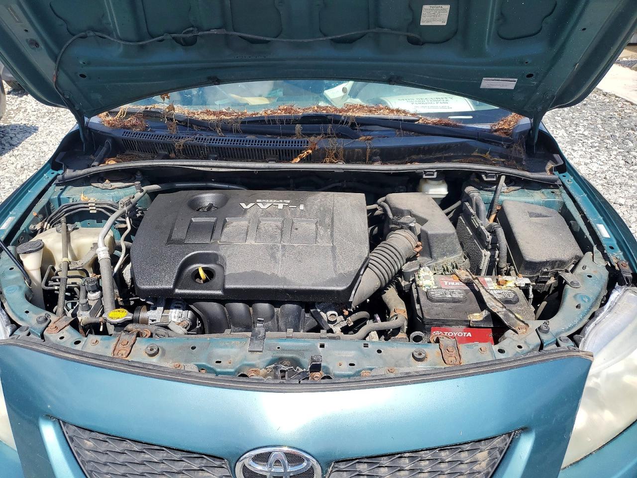 2010 Toyota Corolla Le Green vin: 1NXBU4EE4AZ259895