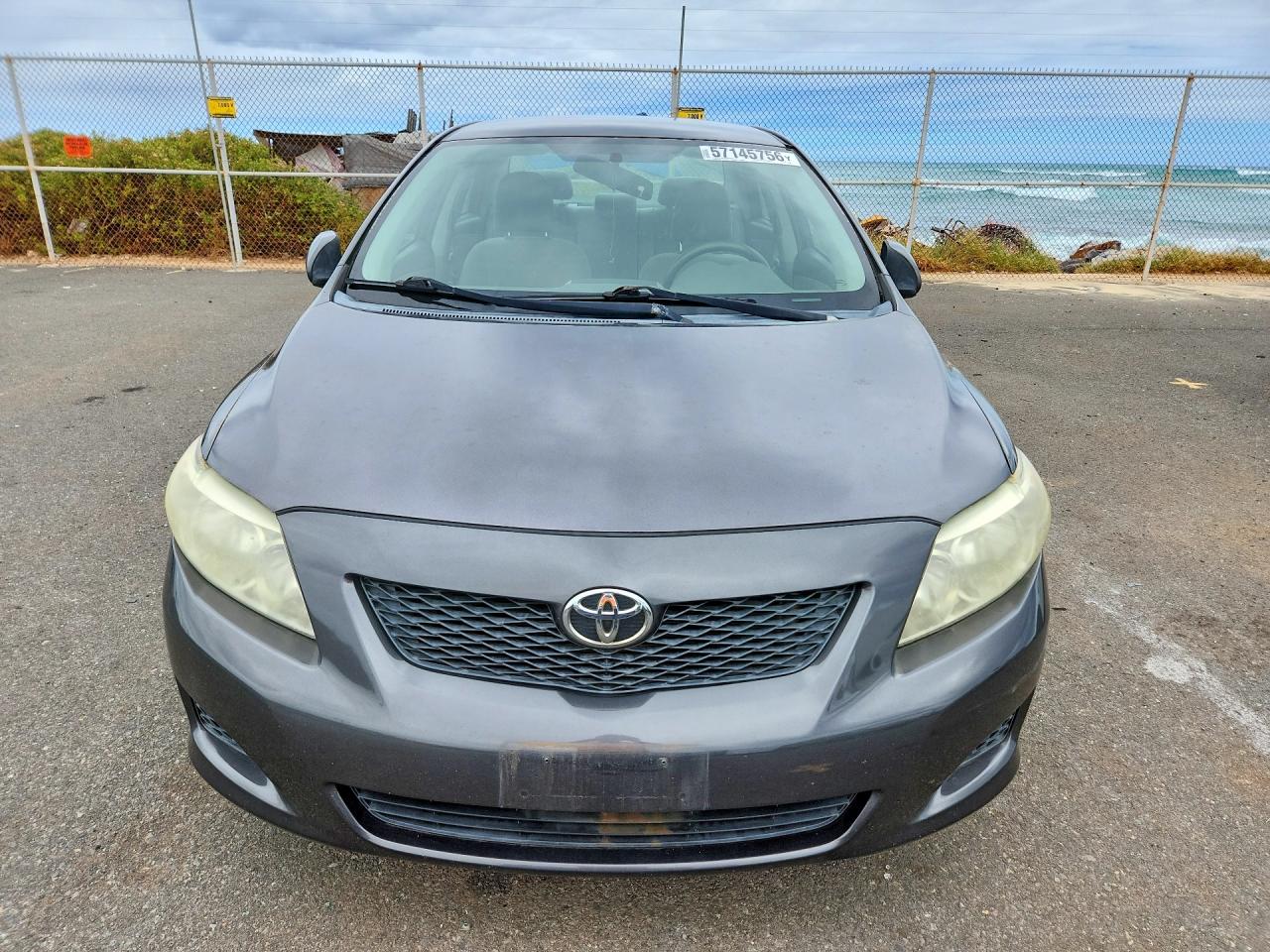 2010 Toyota Corolla Base Black vin: 1NXBU4EE5AZ288449