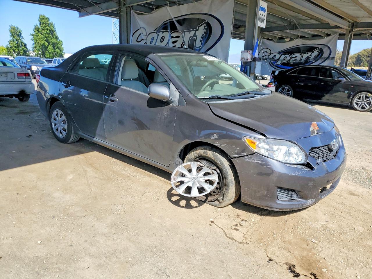 2010 Toyota Corolla Le Gray vin: 1NXBU4EE5AZ316587