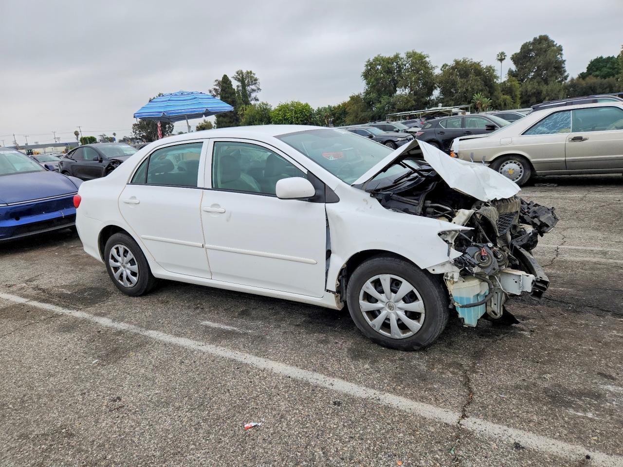 2010 Toyota Corolla Le White vin: 1NXBU4EE6AZ250082