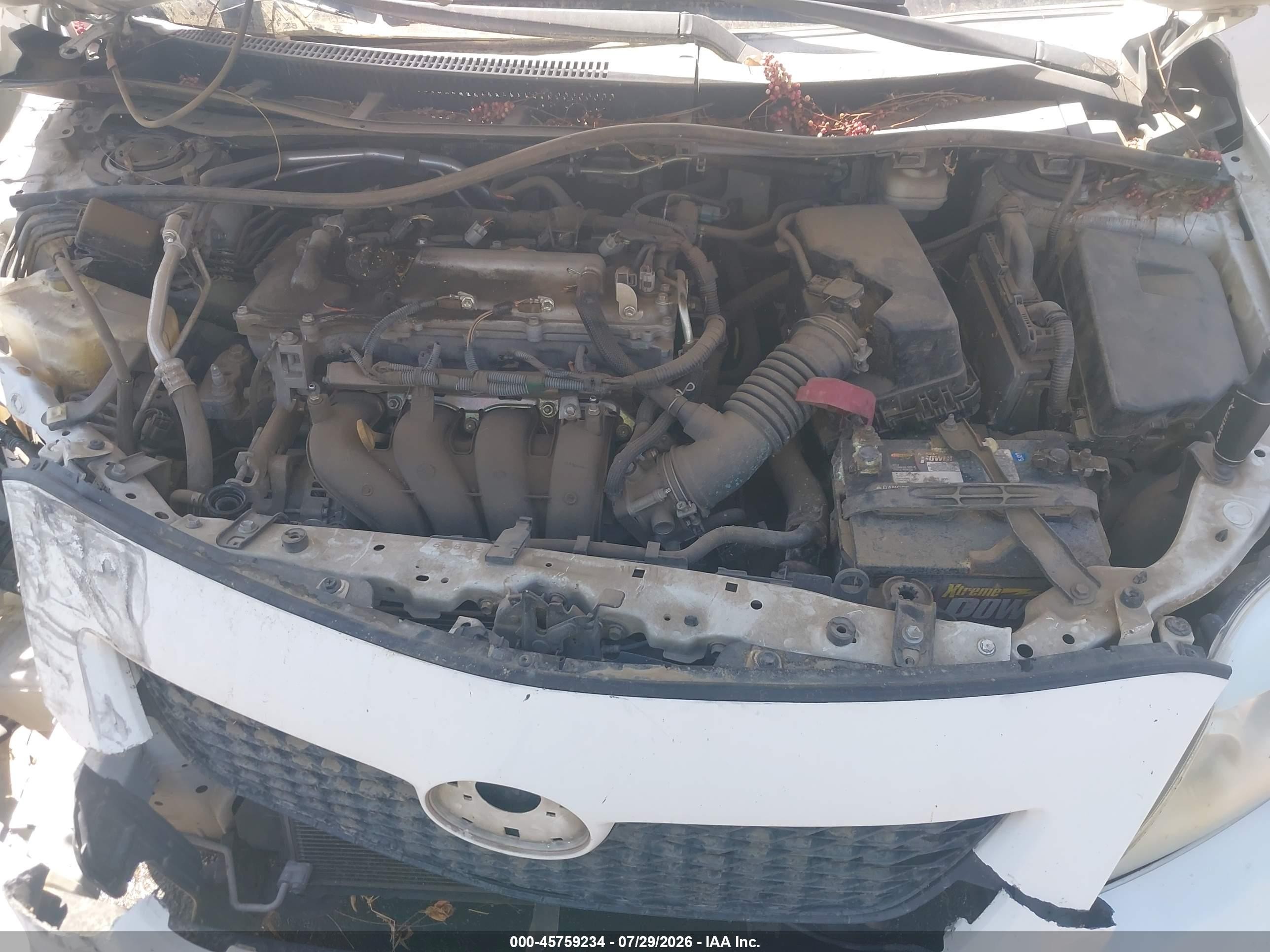 2010 Toyota Corolla Le Белый vin: 1NXBU4EE7AZ288730