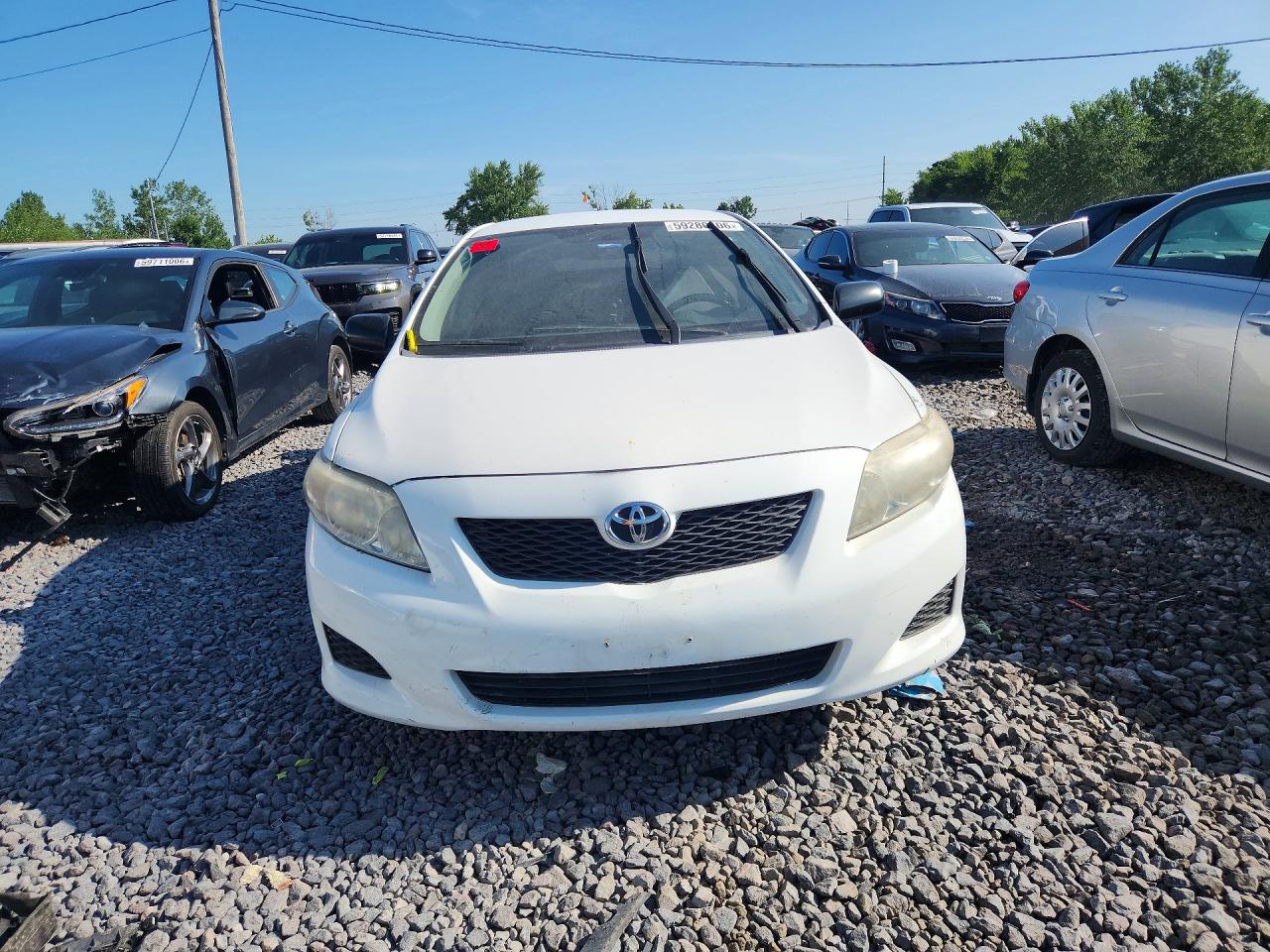 2010 Toyota Corolla Base White vin: 1NXBU4EE8AZ279549