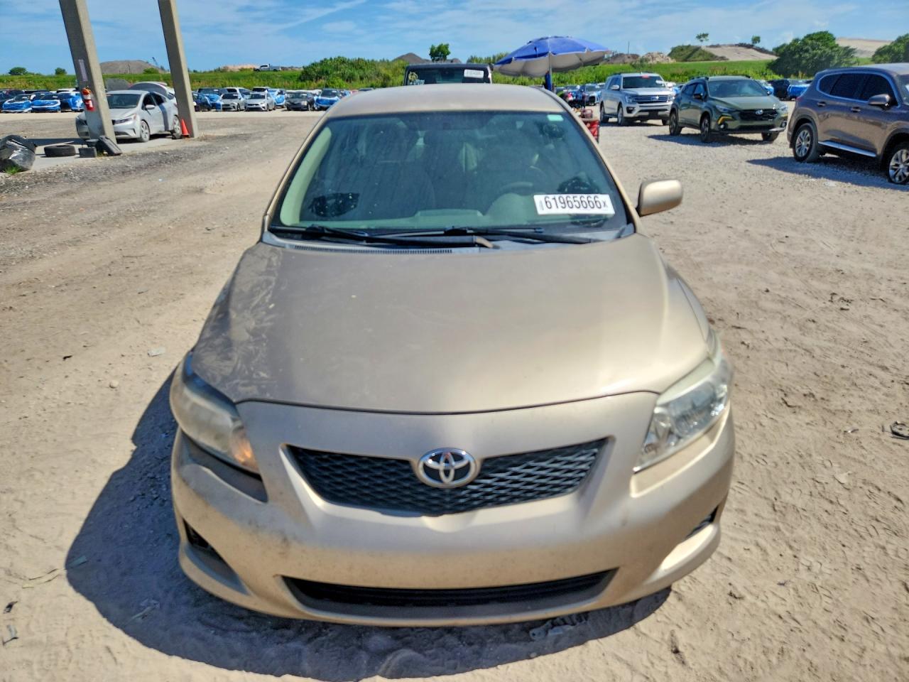 2010 Toyota Corolla Le Желто-коричневый vin: 1NXBU4EE8AZ320651