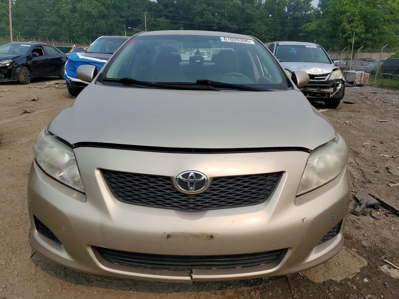 2010 Toyota Corolla Le Gold vin: 1NXBU4EE8AZ333951