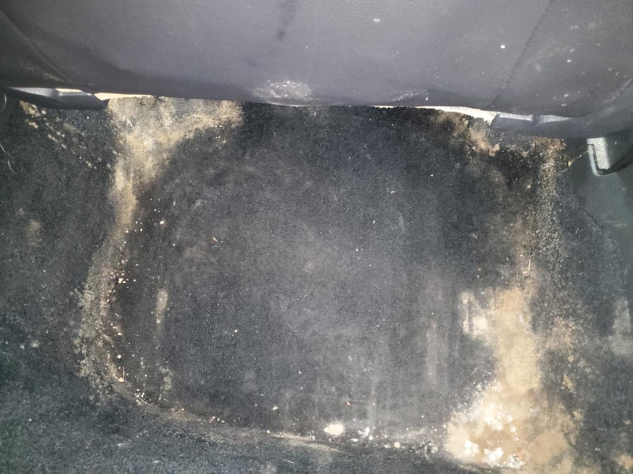 2014 Volkswagen Passat S White vin: 1VWAT7A39EC037516 Damage: Right Rear Carpet, Stained, Permanent