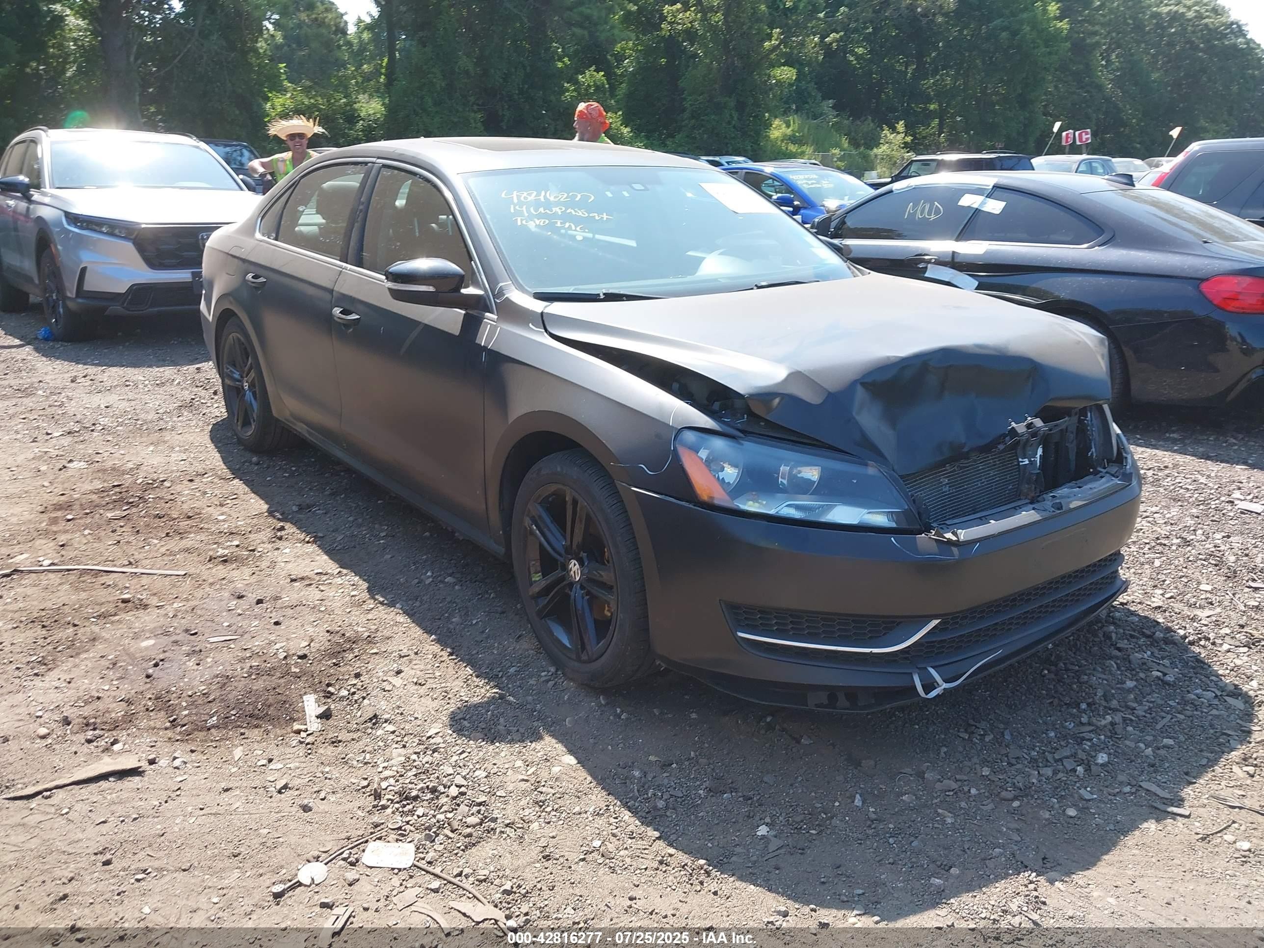 1VWBT7A33EC086800