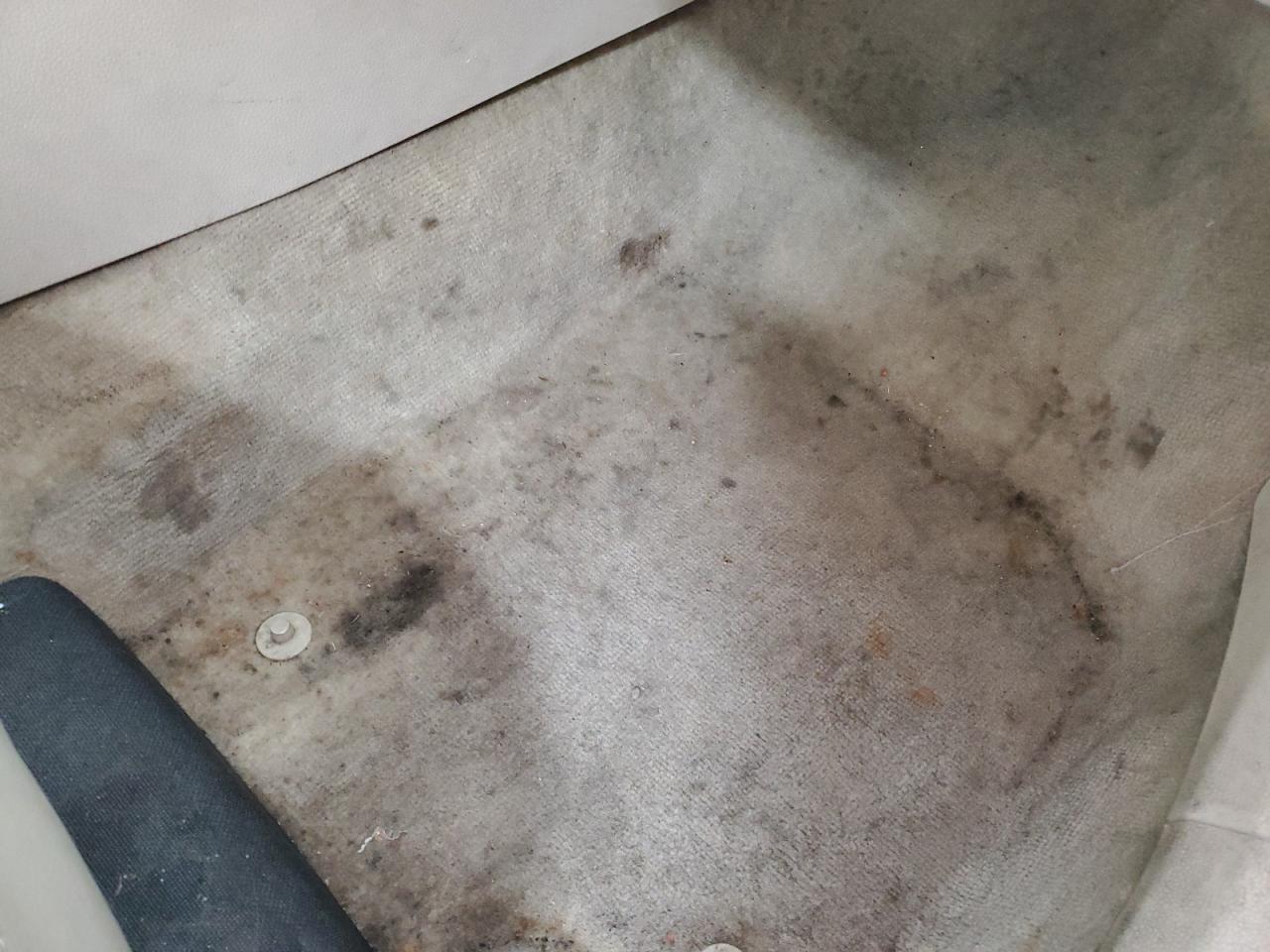 2012 Volkswagen Passat Sel Синий vin: 1VWCN7A31CC020063 Damage: Right Front Carpet, Stained, Permanent