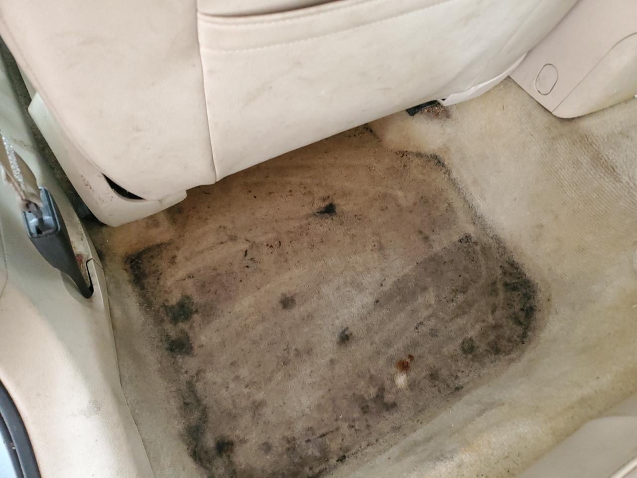 2012 Volkswagen Passat Sel Синий vin: 1VWCN7A31CC020063 Damage: Left Rear Carpet, Stained, Permanent