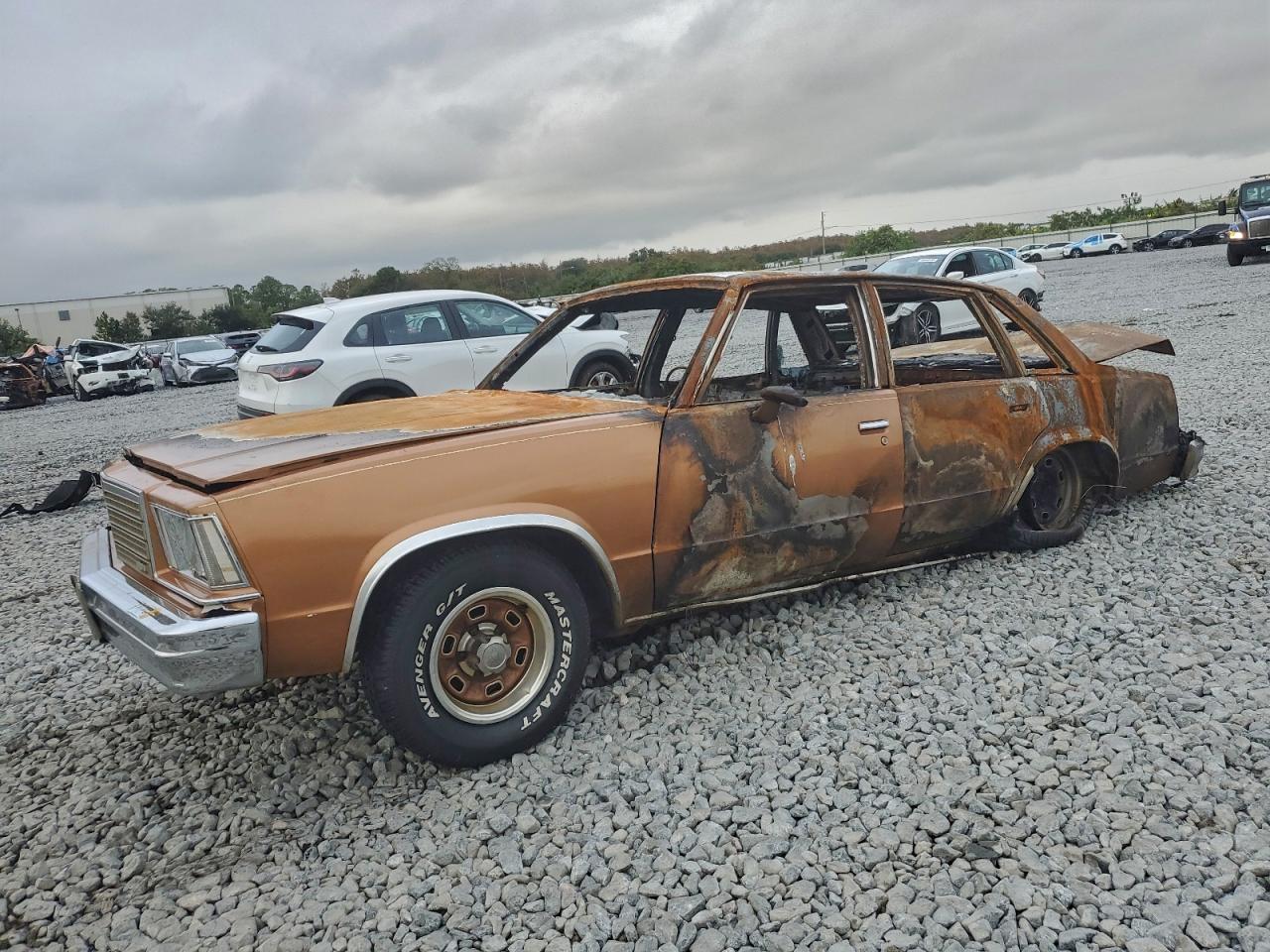 1979 Chev Malibu Brown vin: 1W19H9K464611