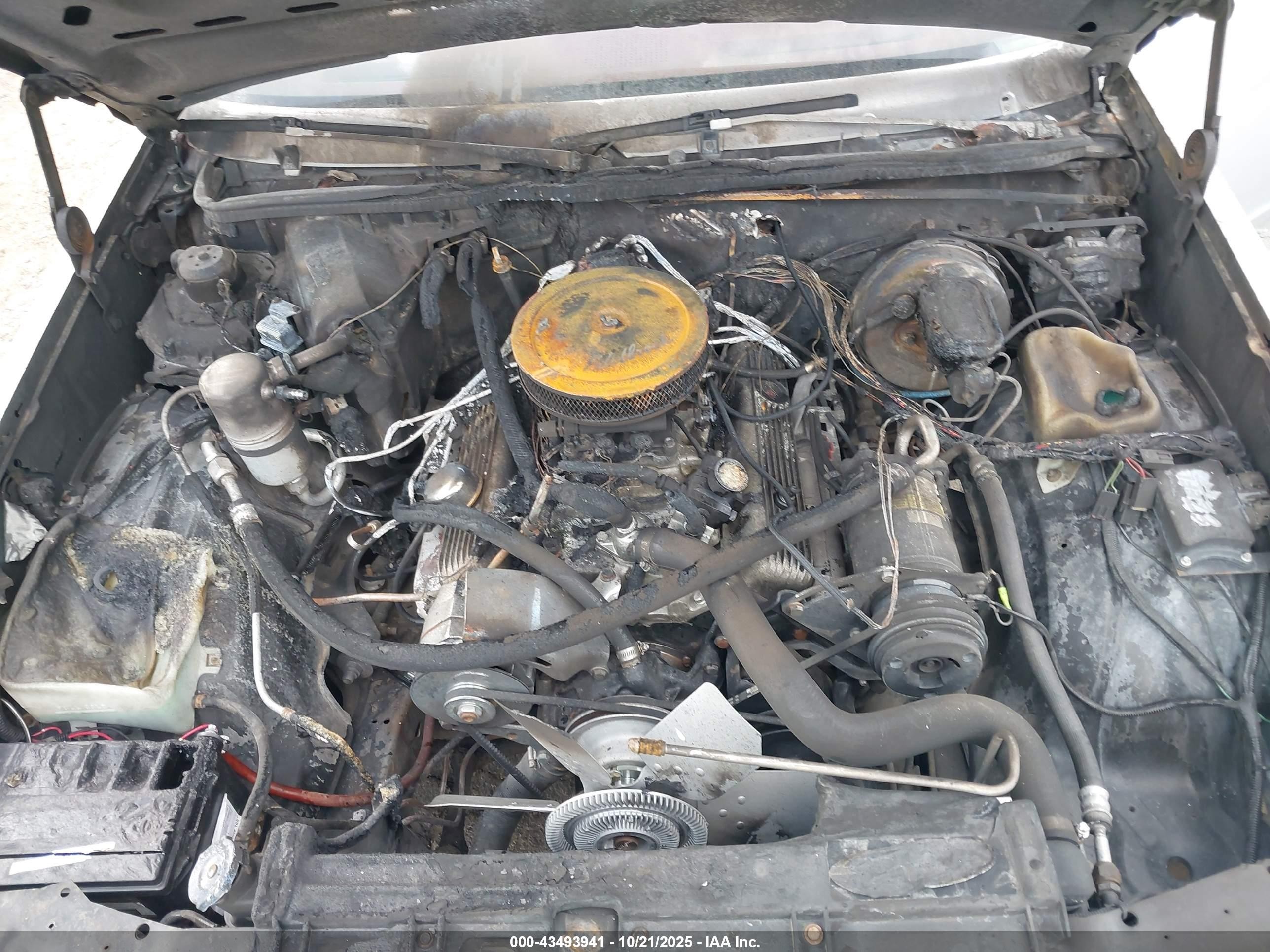 1979 Chevrolet El Camino   Silver vin: 1W80J9K436168    