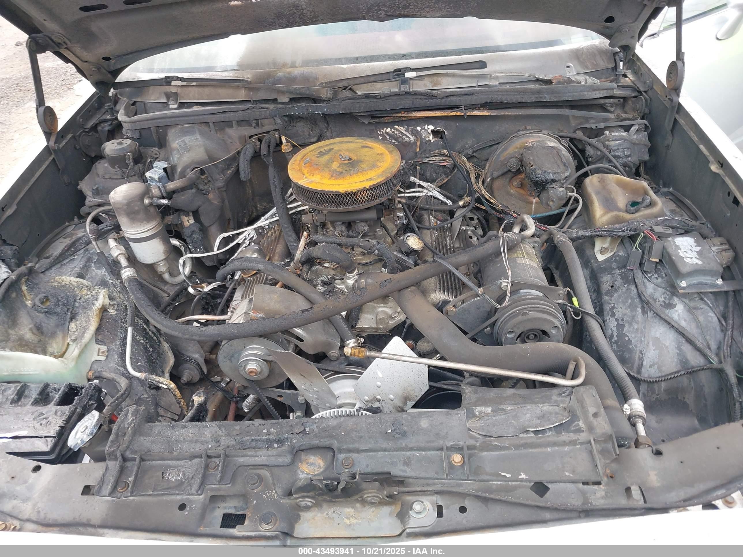 1979 Chevrolet El Camino   Silver vin: 1W80J9K436168    