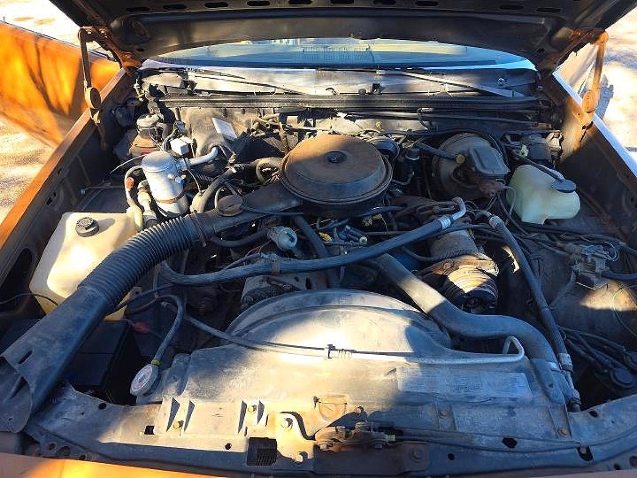 1979 Chevrolet El Camino Orange vin: 1W80J9K630870