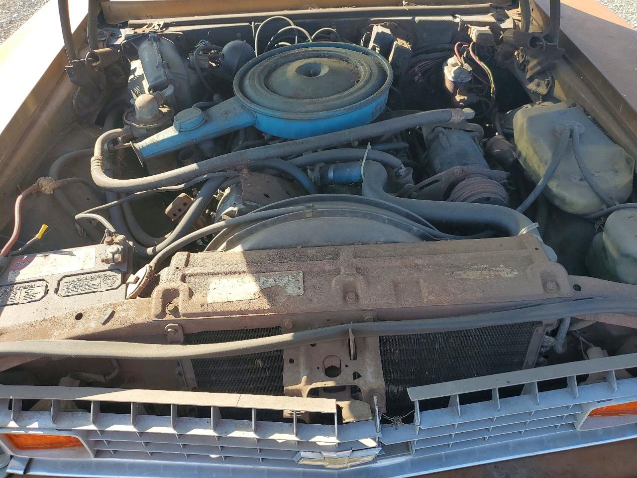 1974 Chevrolet Nova Золотой vin: 1X69H4W237662