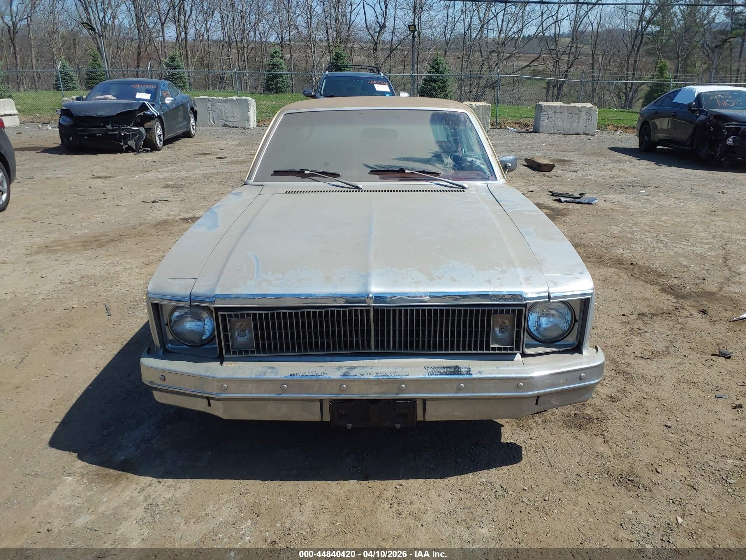 1978 Chevrolet Nova   Серебряный vin: 1Y69U8T178780    