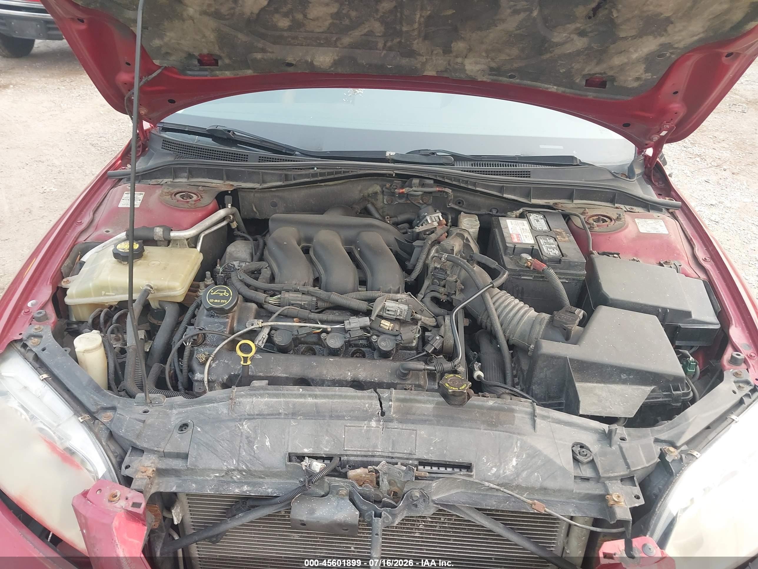 2004 Mazda Mazda6 S Красный vin: 1YVFP80D245N12384