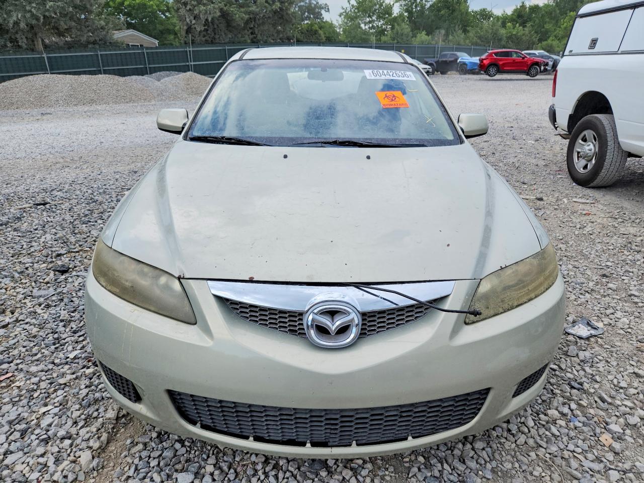 2006 Mazda 6 I Золотой vin: 1YVHP80C465M66429