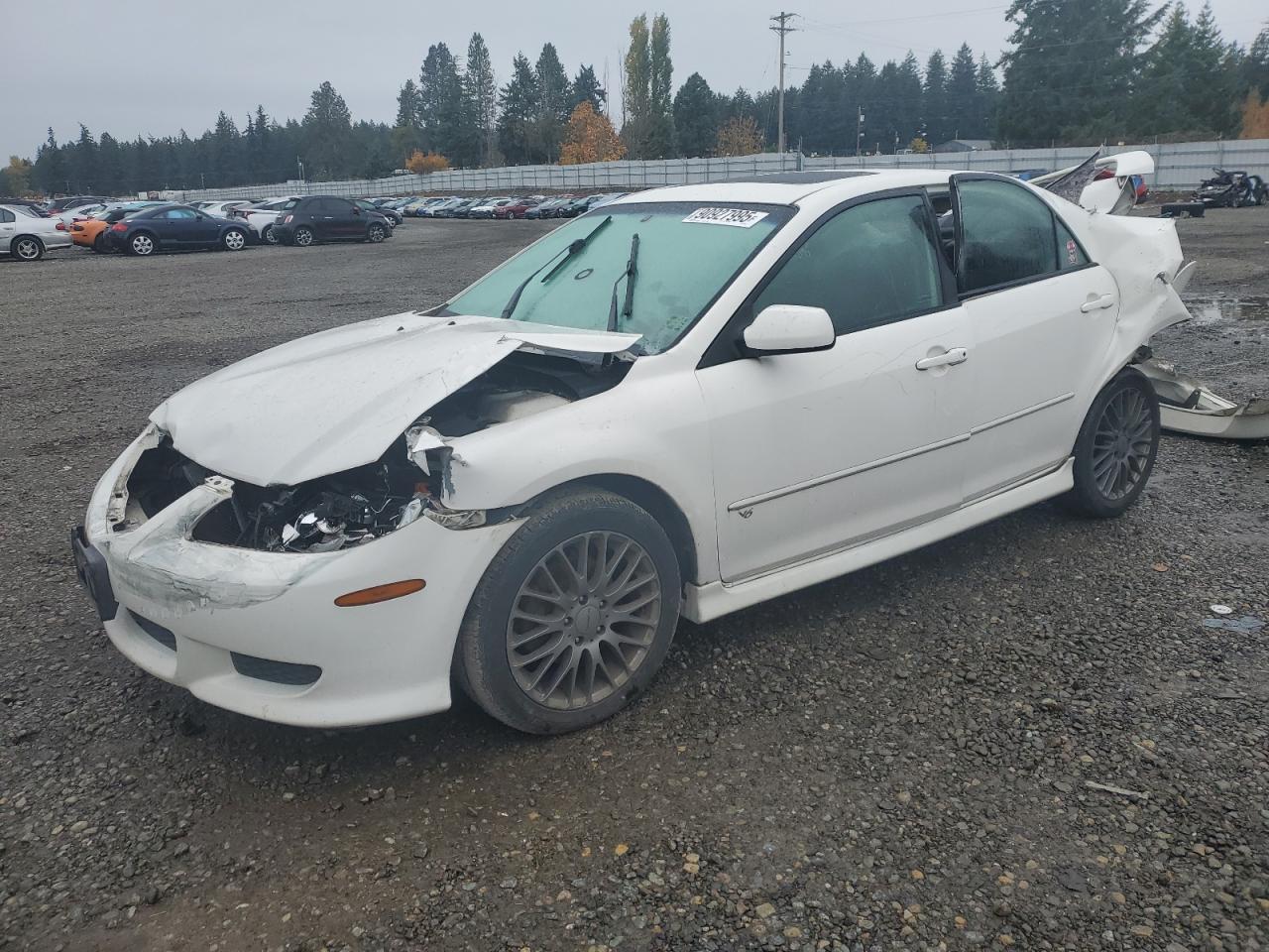 2003 Mazda 6 S White vin: 1YVHP80D435M20104