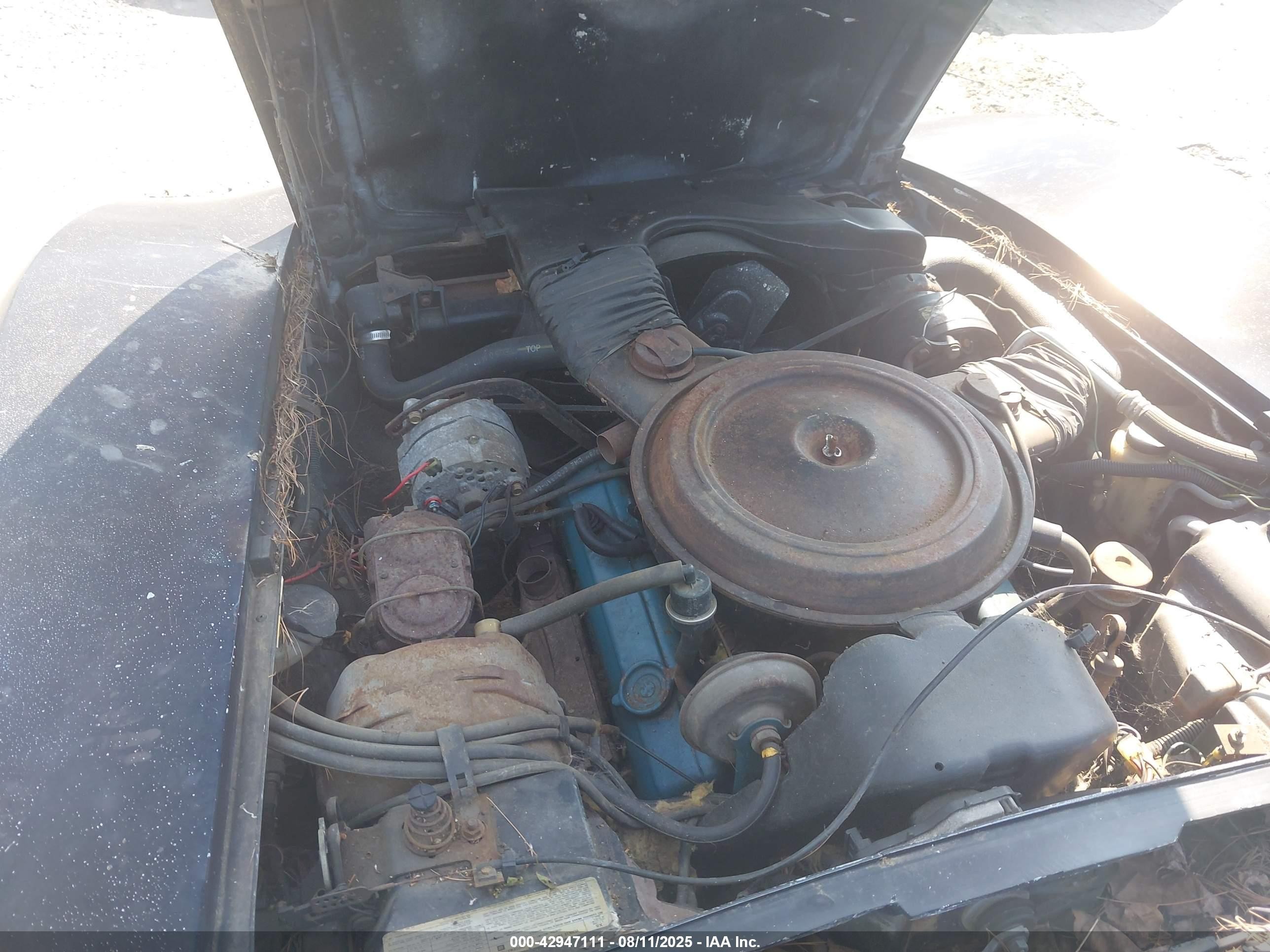 1979 Chevrolet Corvette   Черный vin: 1Z8789S417237    