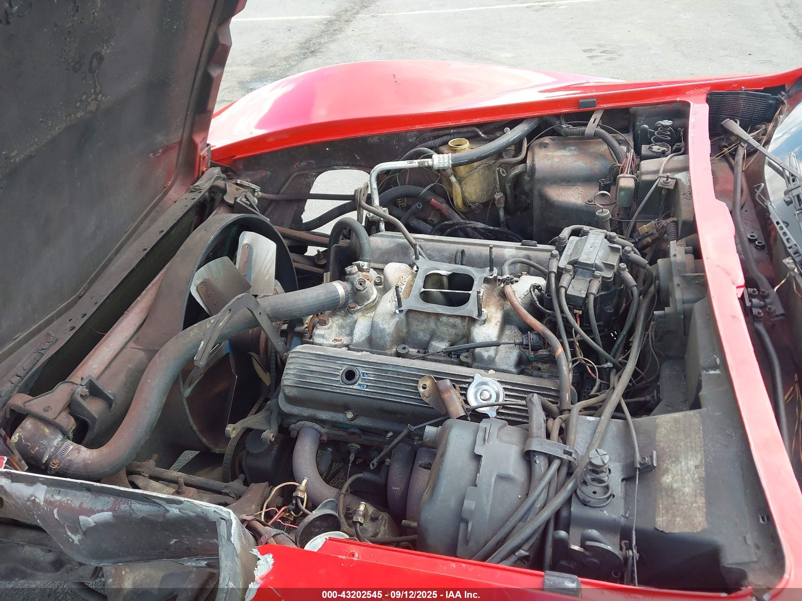 1979 Chev Corvette   Красный vin: 1Z8789S429521    