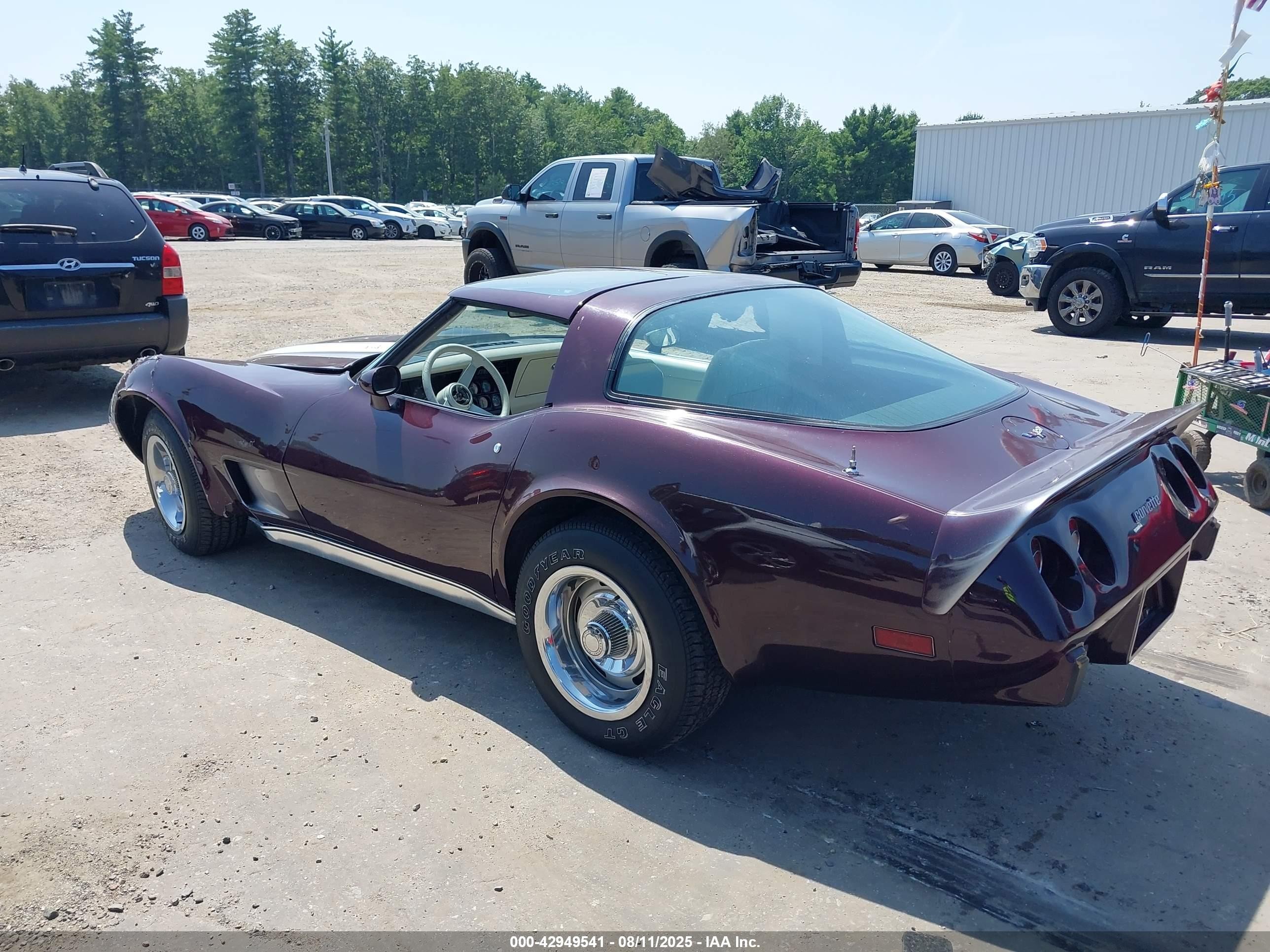 1979 Chevrolet Corvette   Фиолетовый vin: 1Z8789S434053    