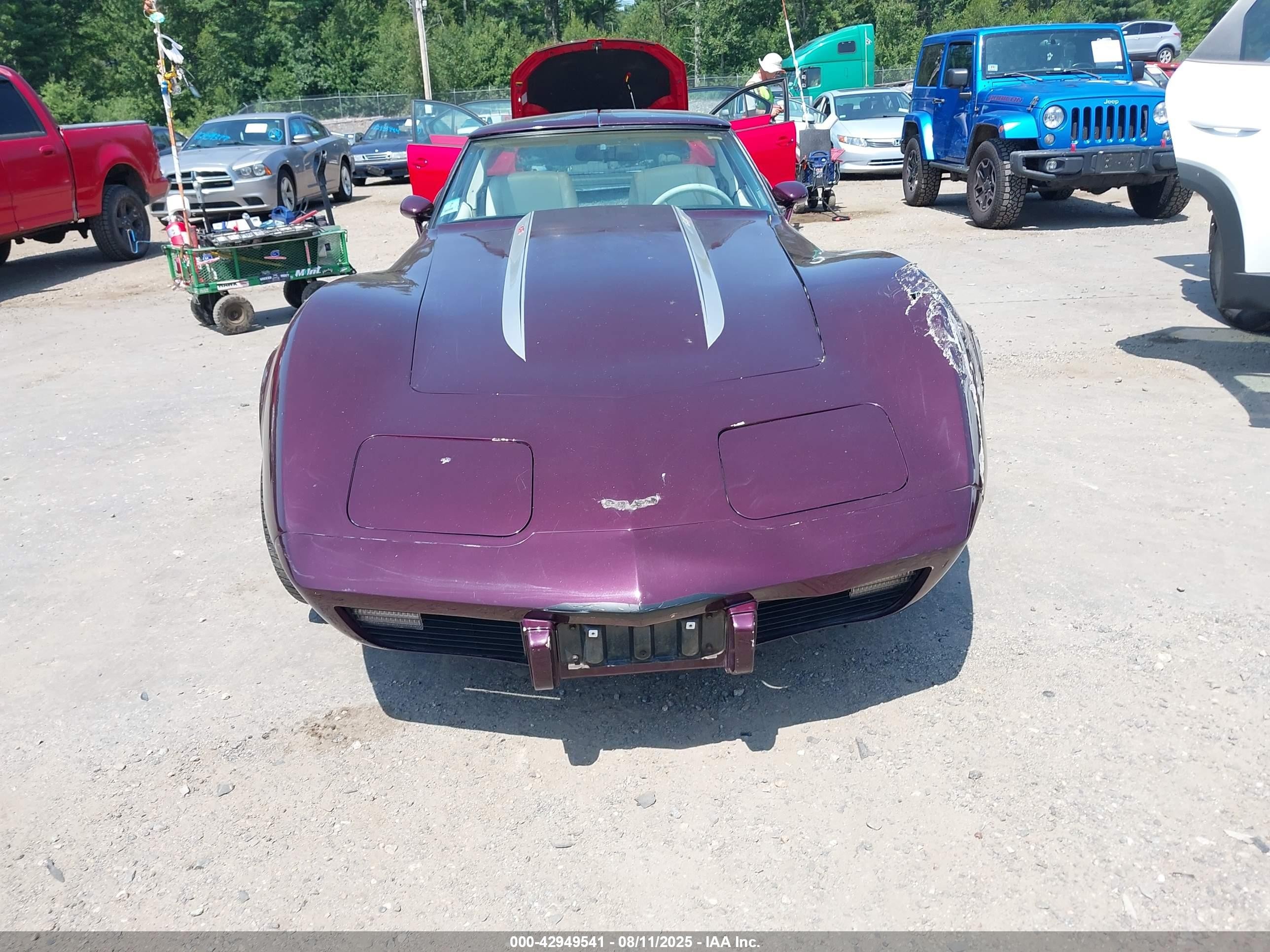 1979 Chevrolet Corvette   Фиолетовый vin: 1Z8789S434053    