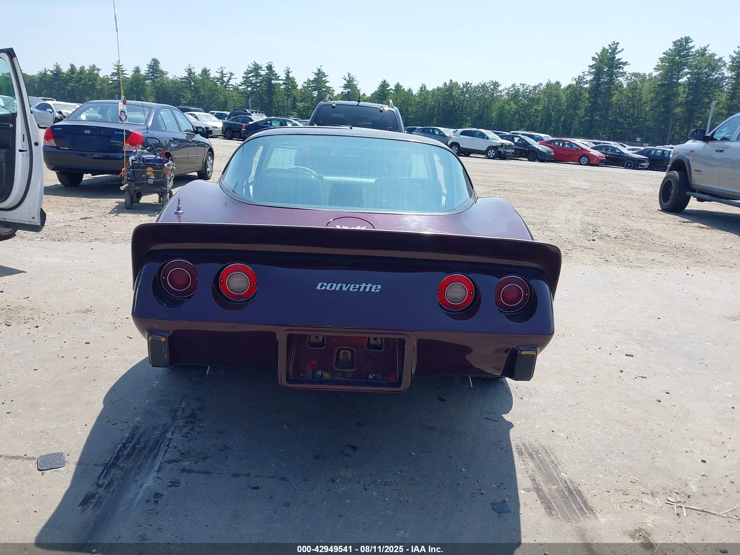 1979 Chevrolet Corvette   Фиолетовый vin: 1Z8789S434053    
