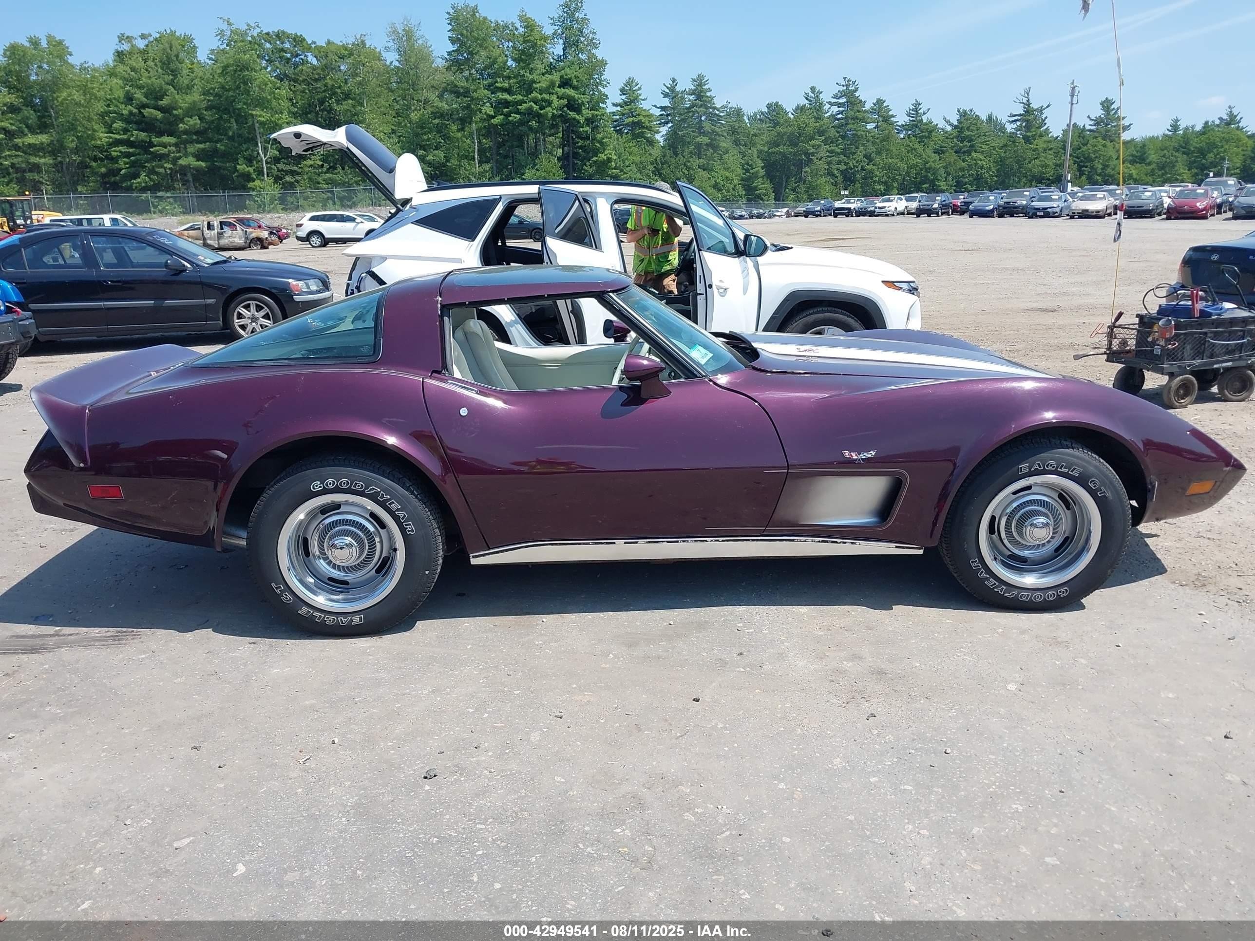 1979 Chevrolet Corvette   Фиолетовый vin: 1Z8789S434053    