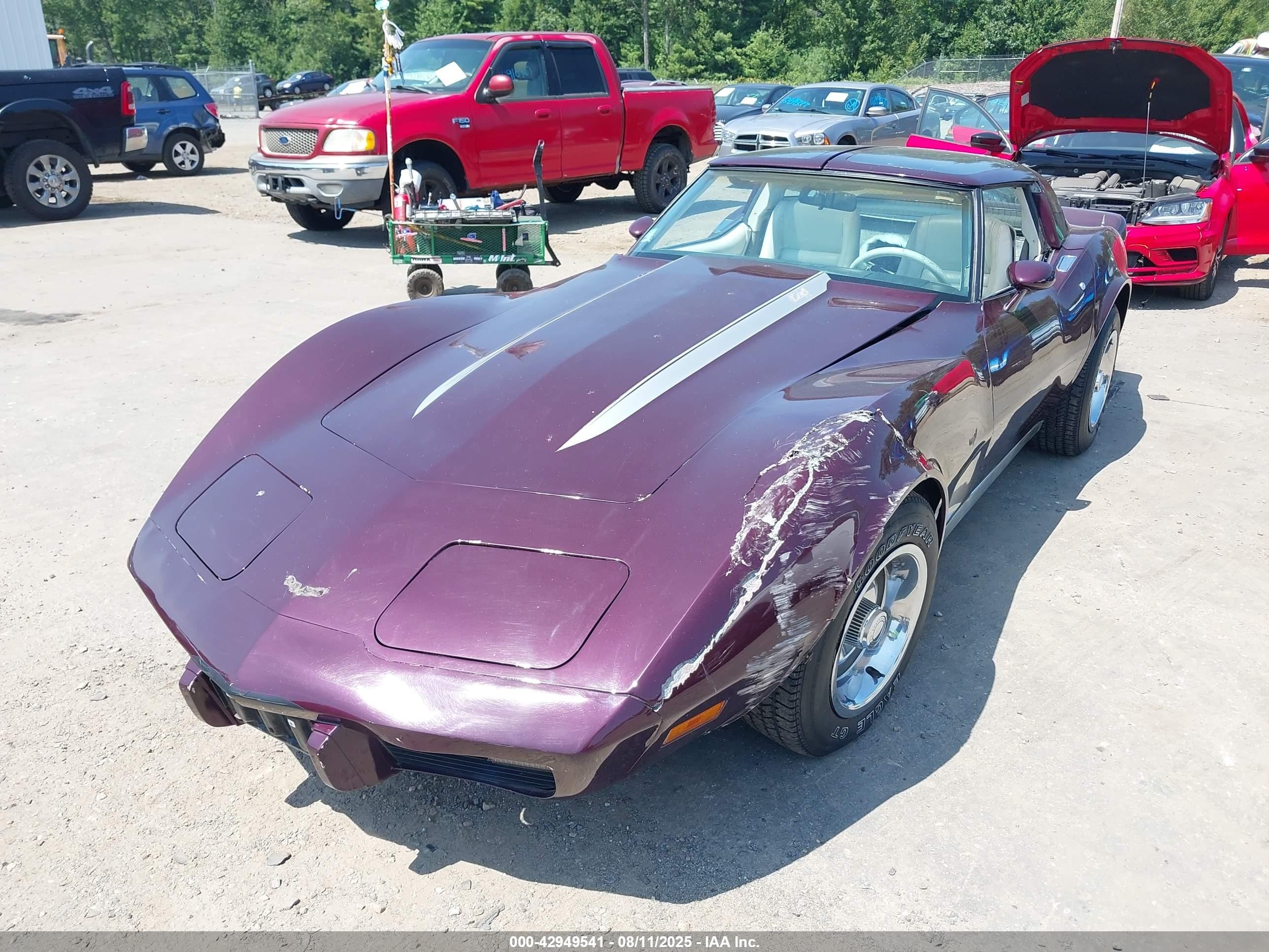 1979 Chevrolet Corvette   Фиолетовый vin: 1Z8789S434053    