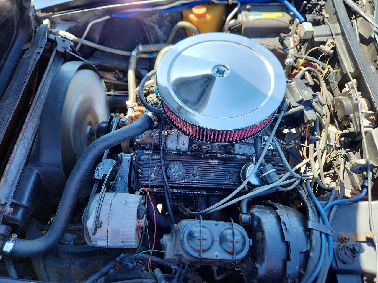 1980 Chevrolet Corvette Black vin: 1Z878AS433100
