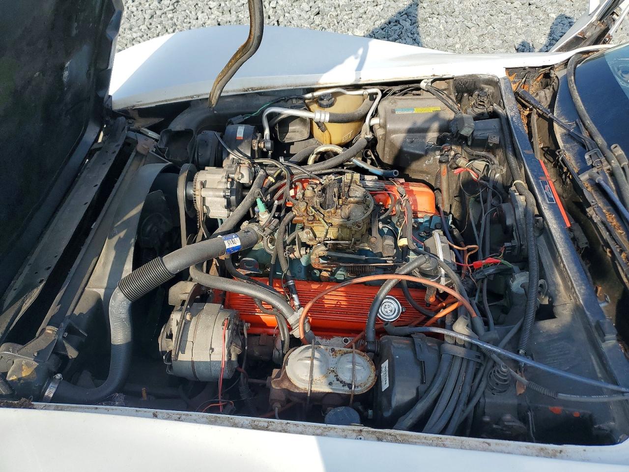 1980 Chevrolet Corvette White vin: 1Z878AS438769