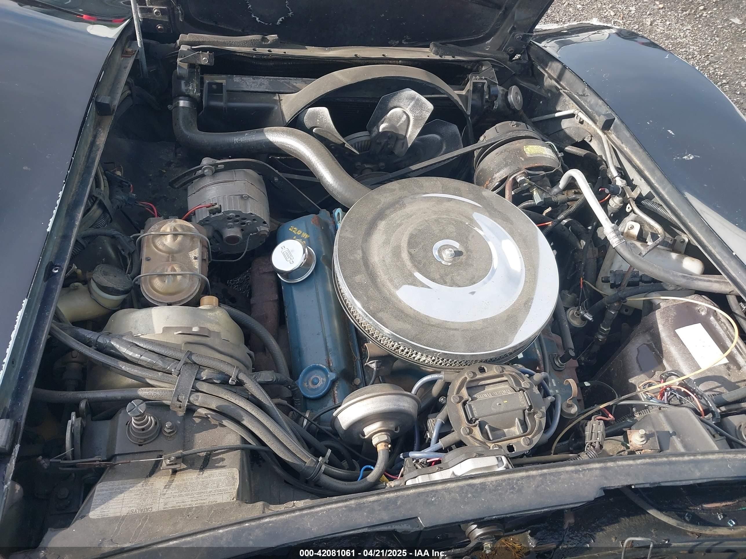 1978 Chev Corvette Anniversary   Черный vin: 1Z87L8S900145    