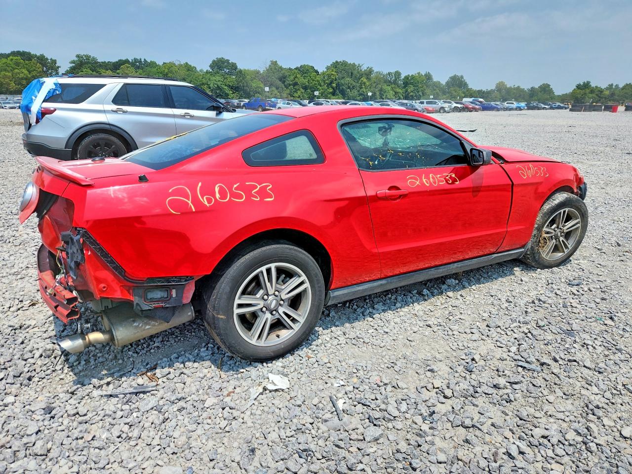 2011 Ford Mustang Красный vin: 1ZVBP8AM0B5111641