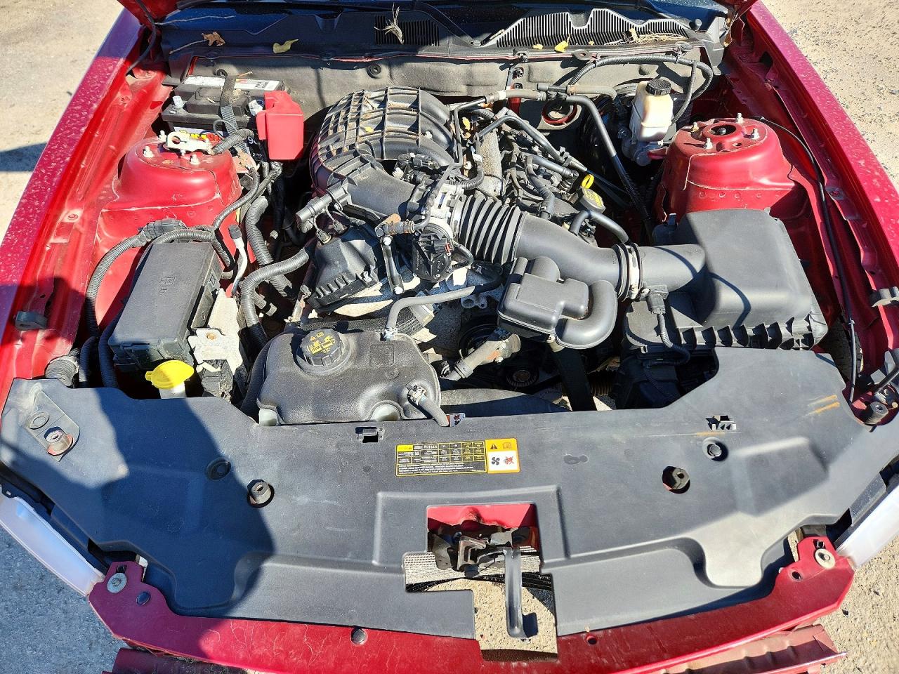 2011 Ford Mustang Red vin: 1ZVBP8AM0B5135874
