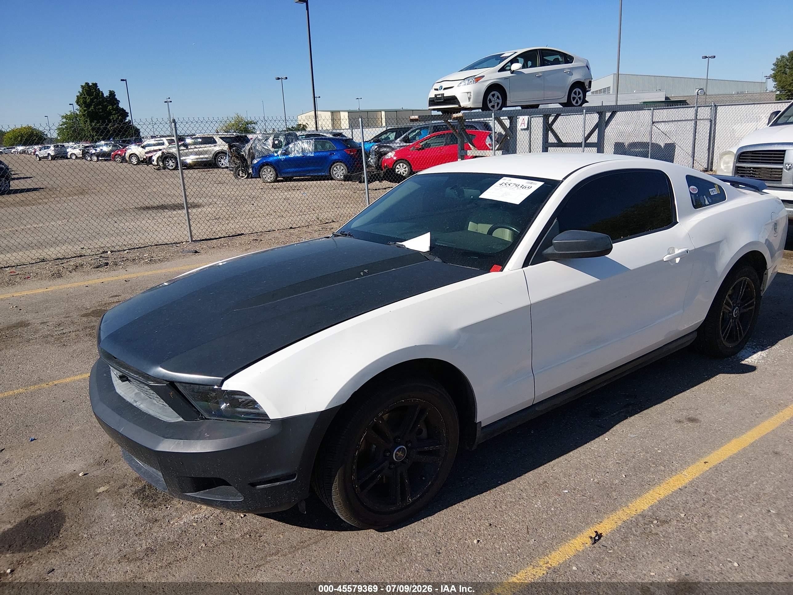 2011 Ford Mustang V6 Premium White vin: 1ZVBP8AM0B5137110