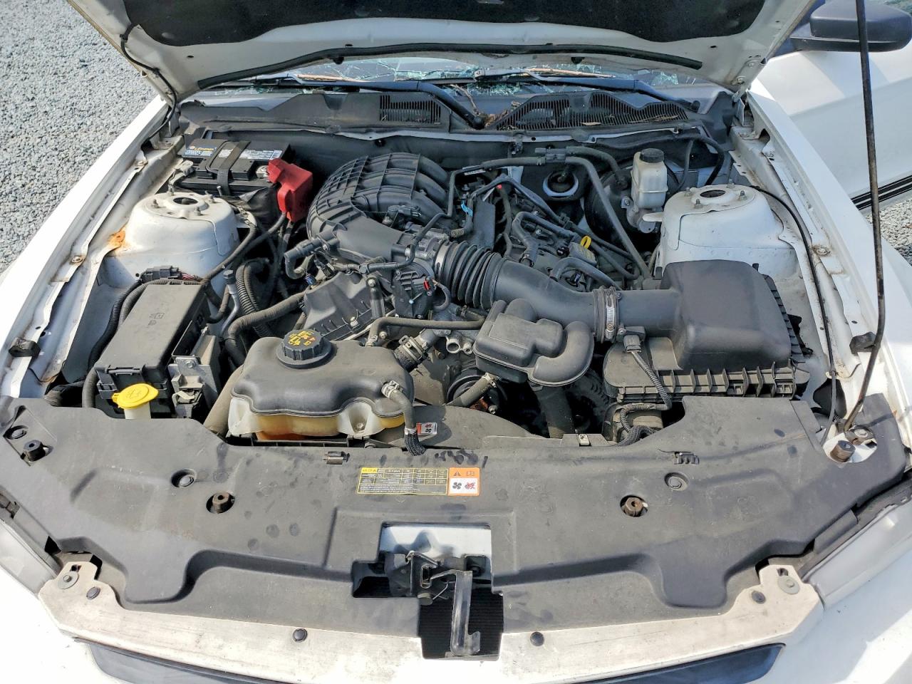 2012 Ford Mustang Белый vin: 1ZVBP8AM0C5287347