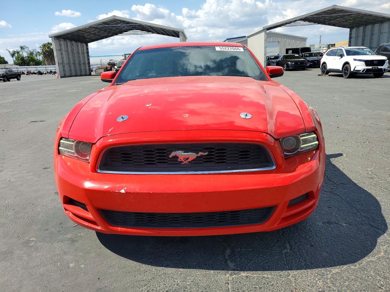 2013 Ford Mustang Red vin: 1ZVBP8AM0D5242118