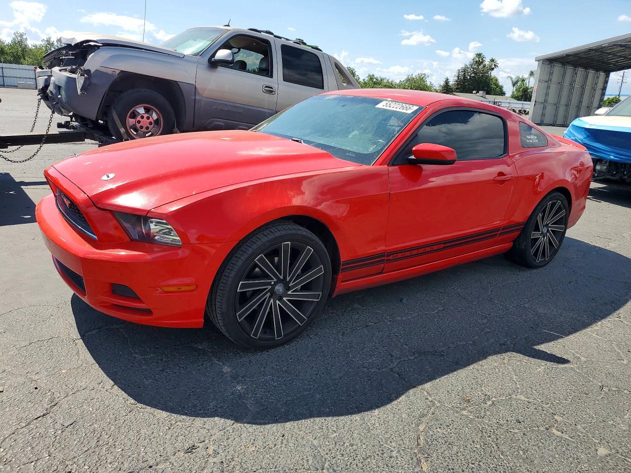 2013 Ford Mustang Красный vin: 1ZVBP8AM0D5242118