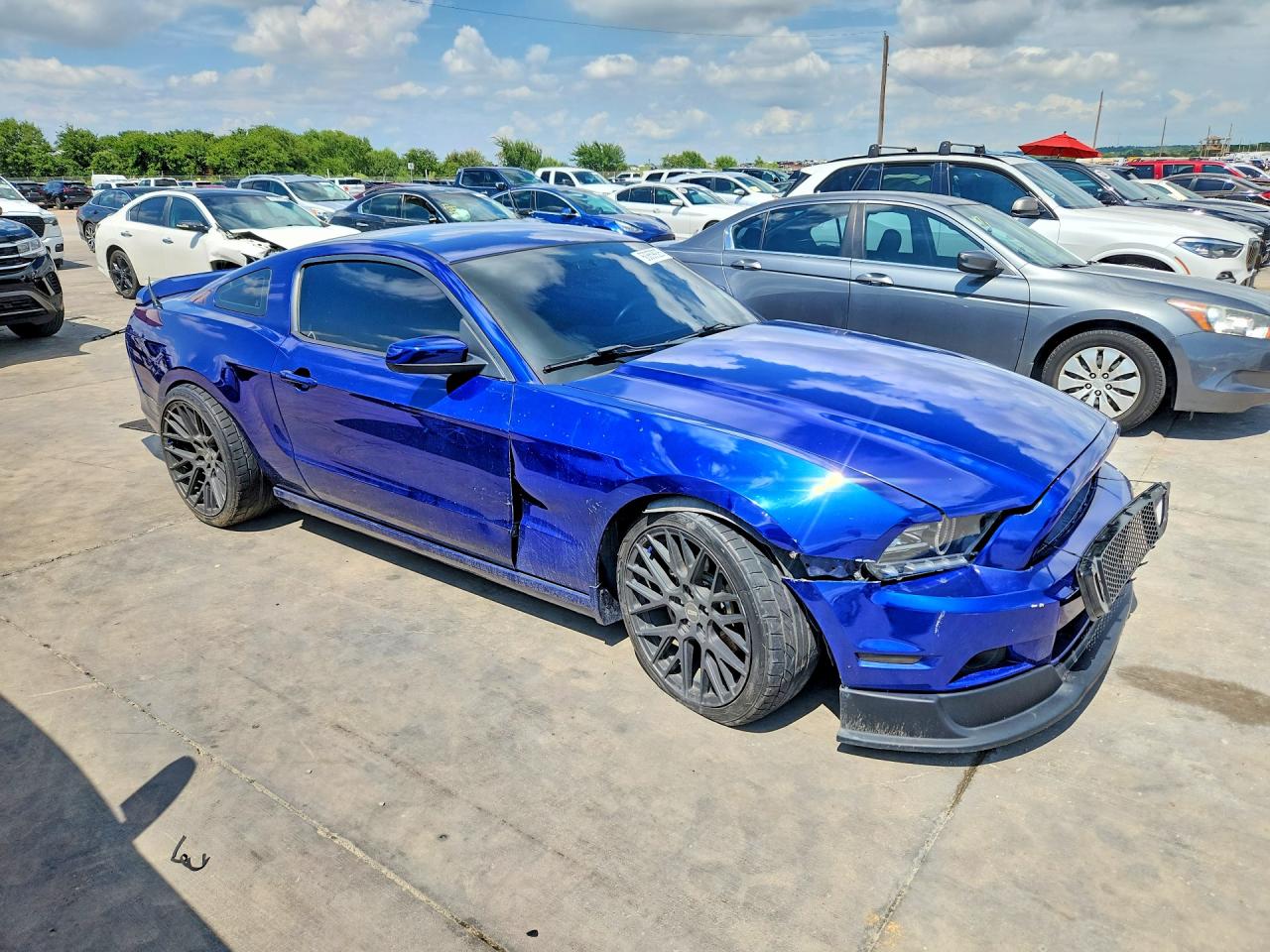 2013 Ford Mustang Blue vin: 1ZVBP8AM0D5251191