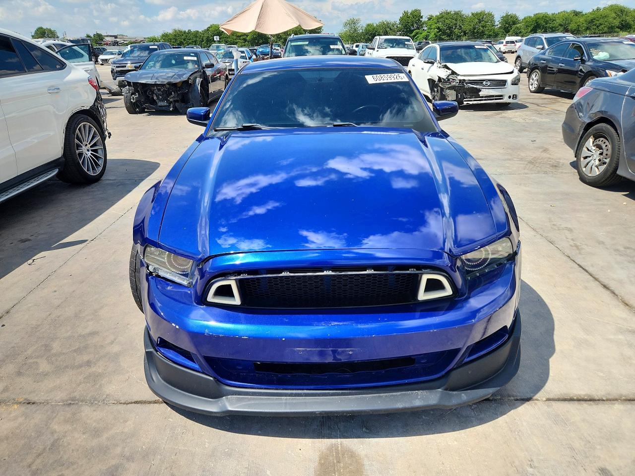 2013 Ford Mustang Blue vin: 1ZVBP8AM0D5251191