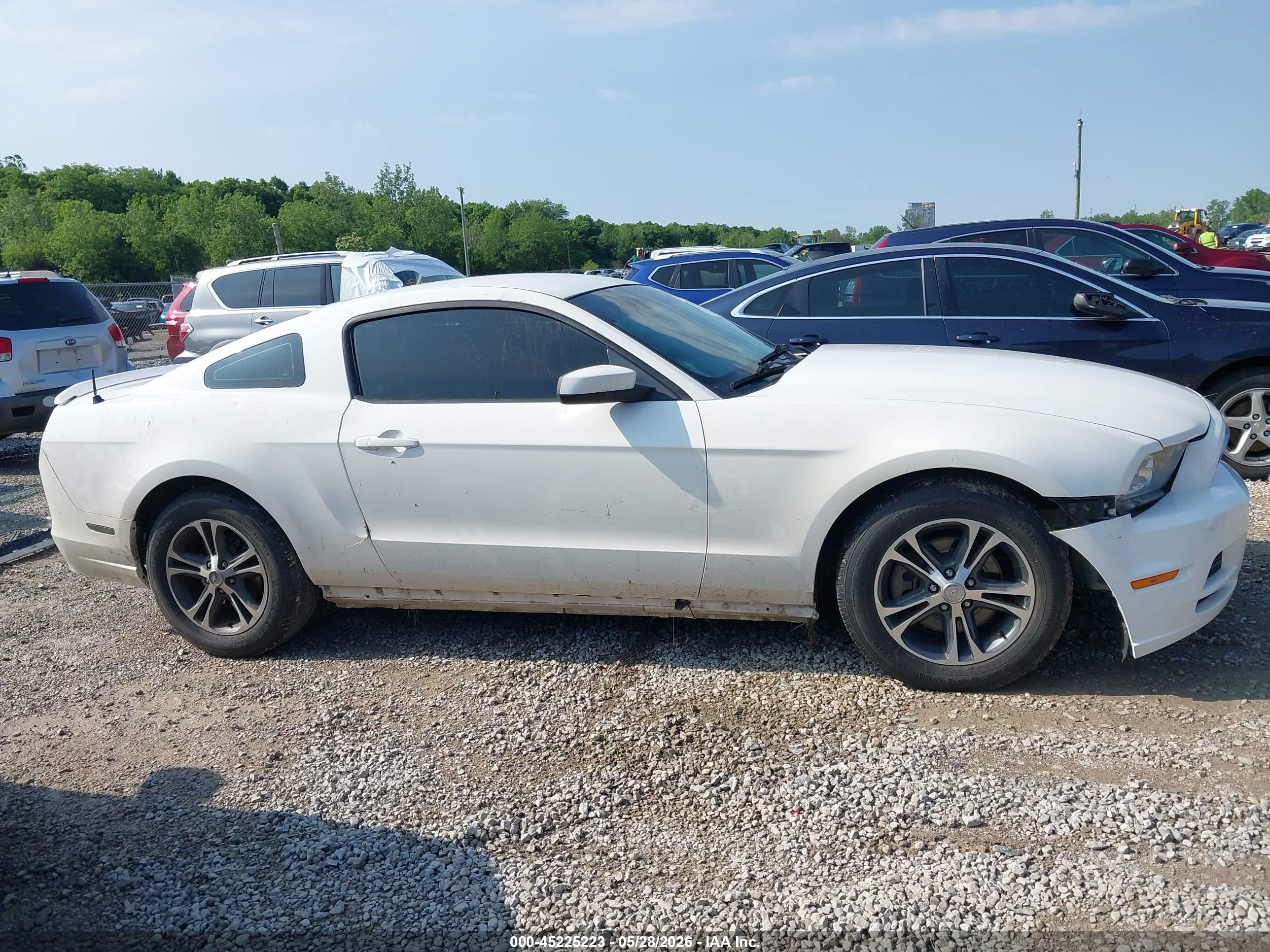 2013 Ford Mustang V6 Premium White vin: 1ZVBP8AM0D5260425