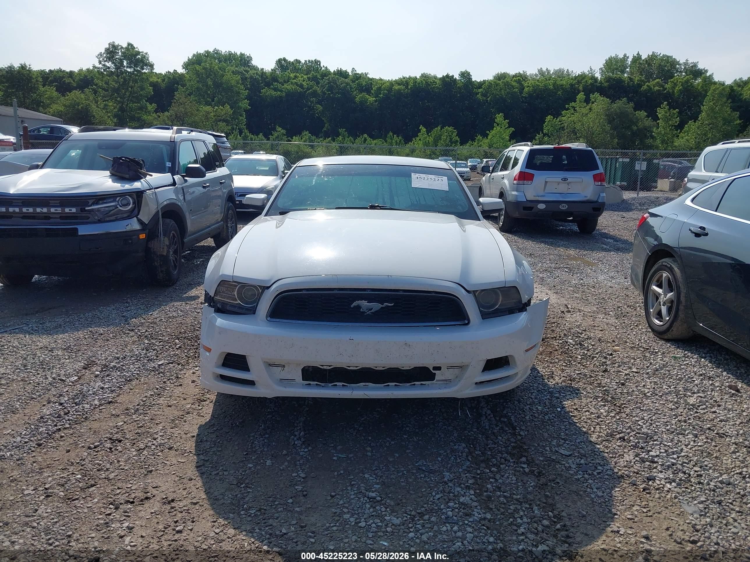 2013 Ford Mustang V6 Premium White vin: 1ZVBP8AM0D5260425