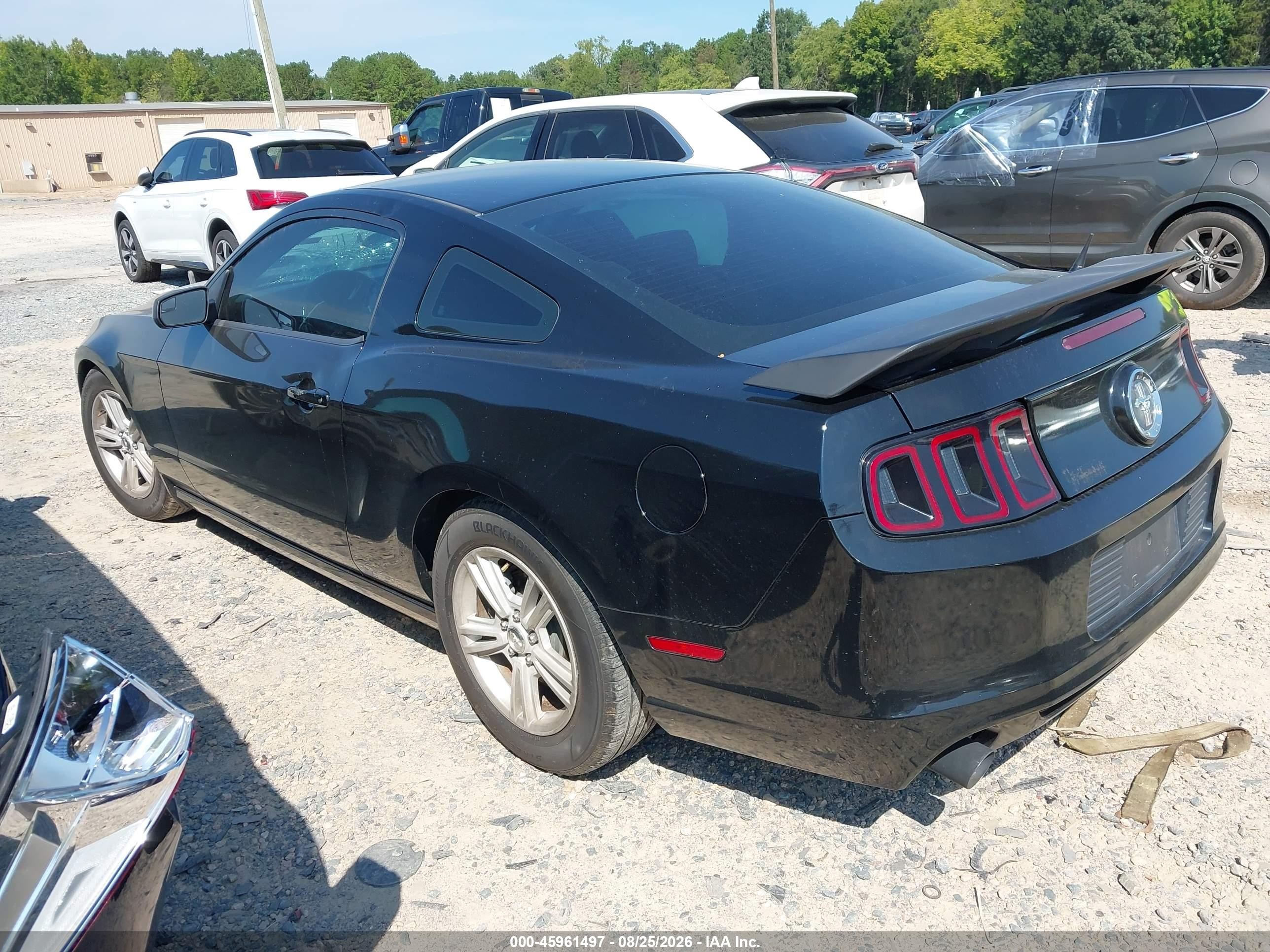 2013 Ford Mustang   Black vin: 1ZVBP8AM0D5262045