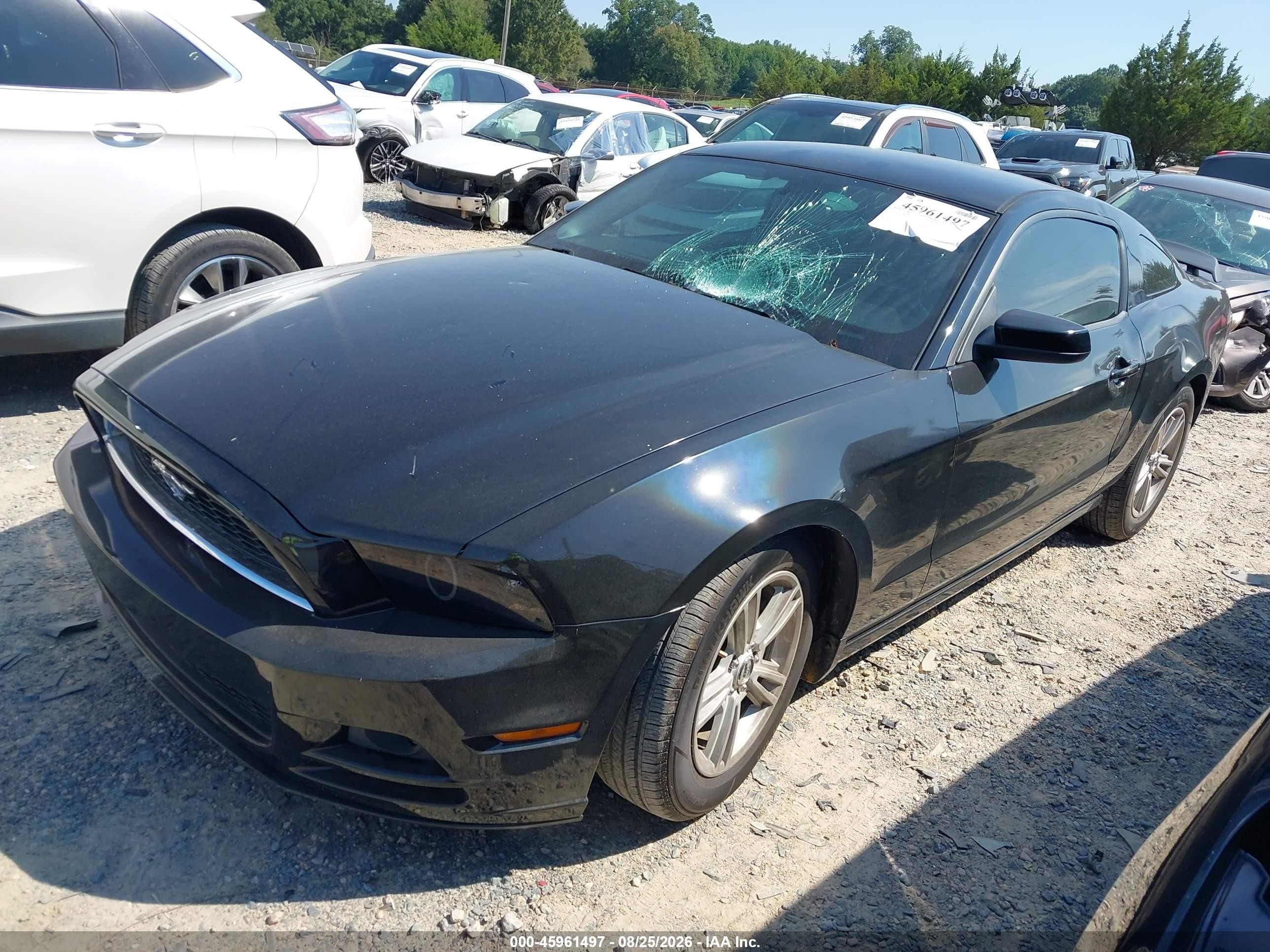 2013 Ford Mustang   Black vin: 1ZVBP8AM0D5262045