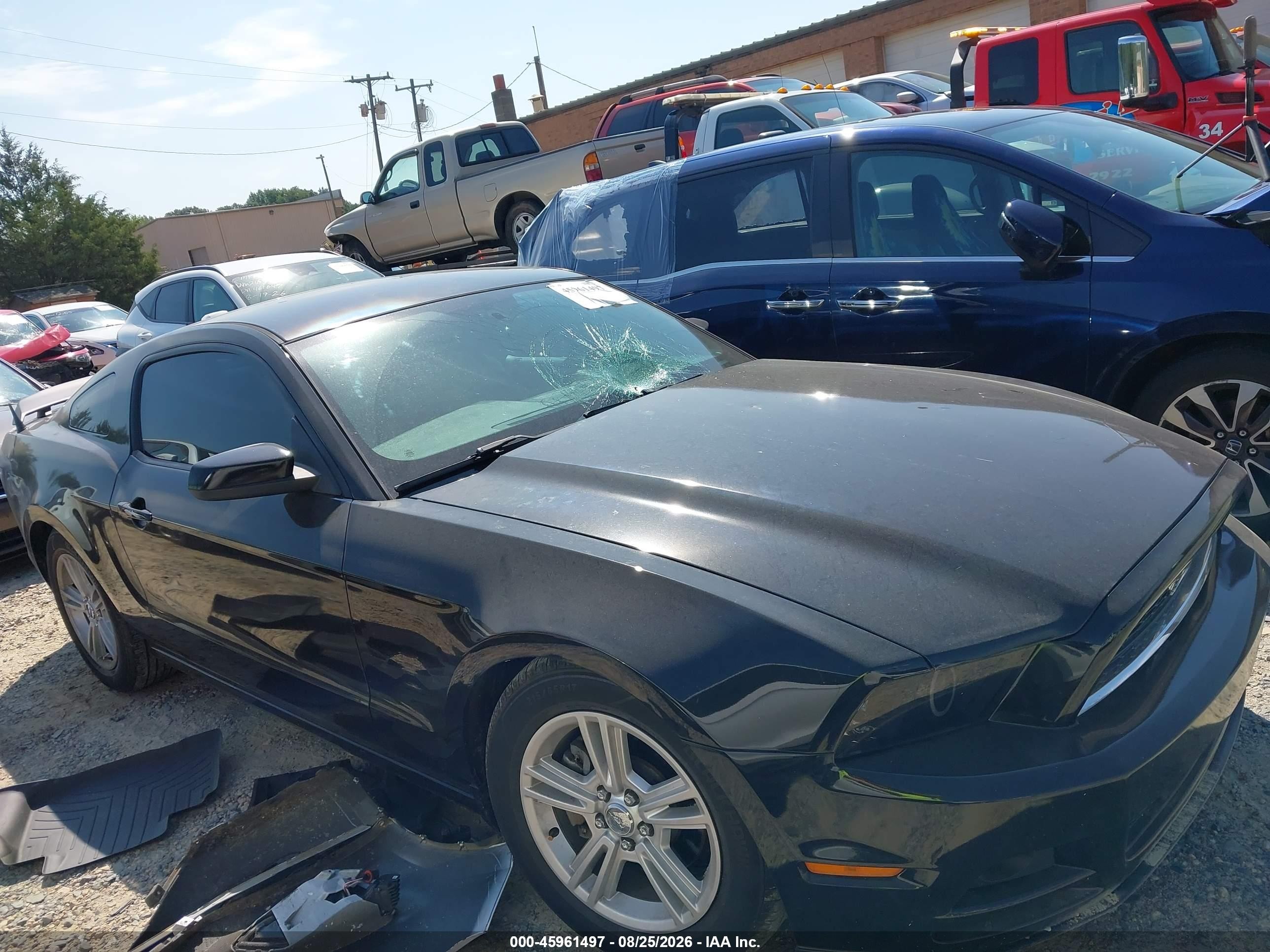 2013 Ford Mustang   Black vin: 1ZVBP8AM0D5262045