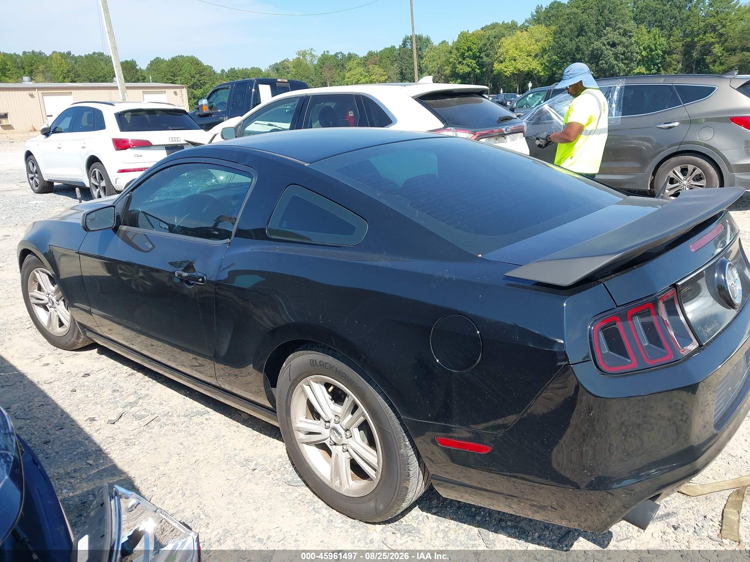 2013 Ford Mustang   Black vin: 1ZVBP8AM0D5262045