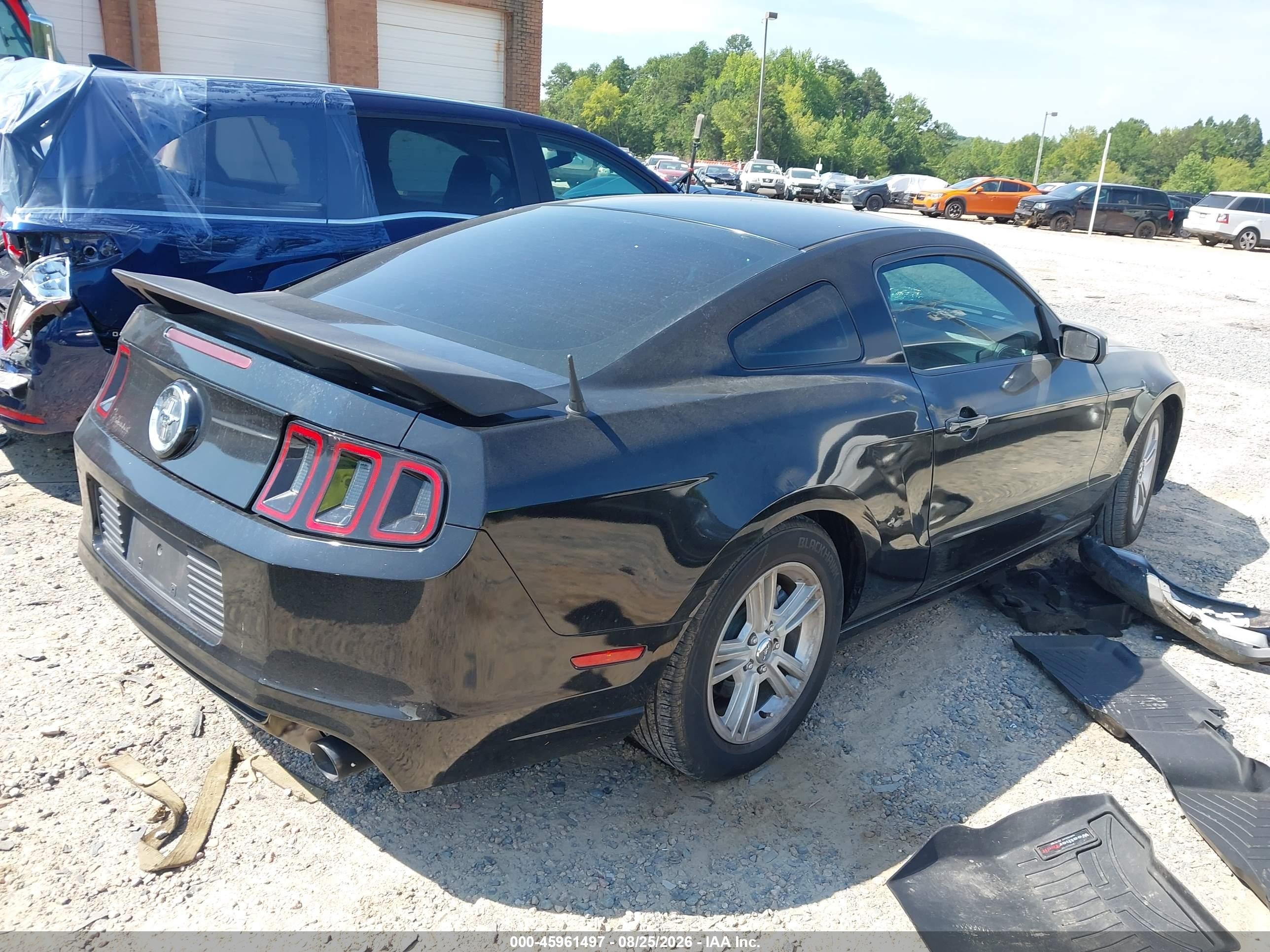 2013 Ford Mustang   Black vin: 1ZVBP8AM0D5262045