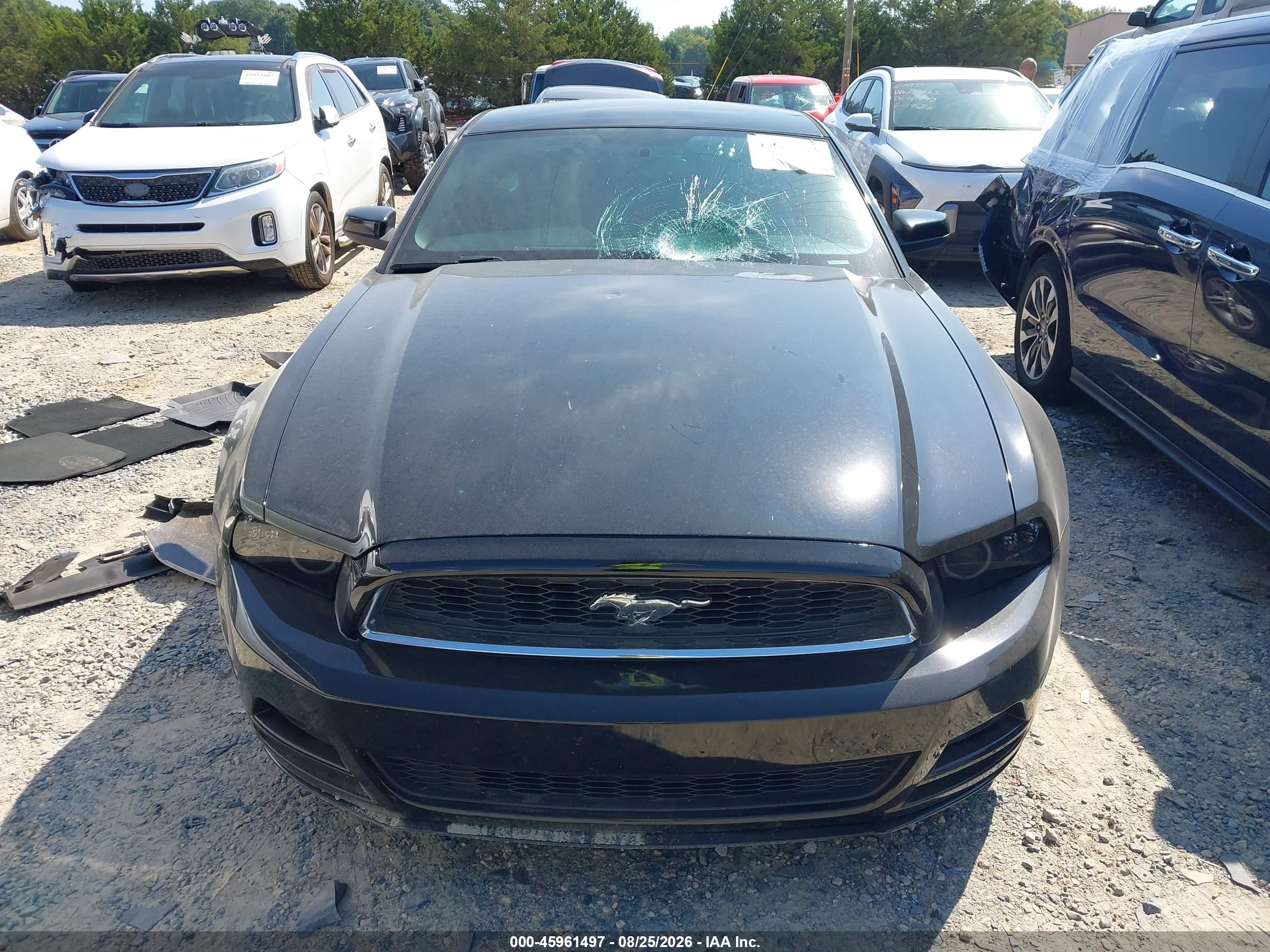 2013 Ford Mustang   Black vin: 1ZVBP8AM0D5262045