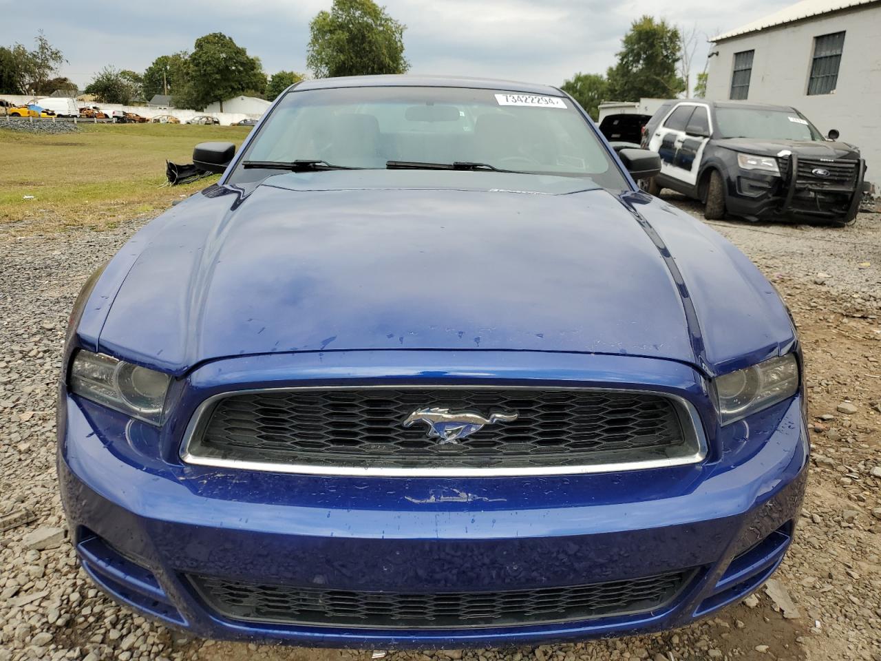 2013 Ford Mustang Blue vin: 1ZVBP8AM0D5275880