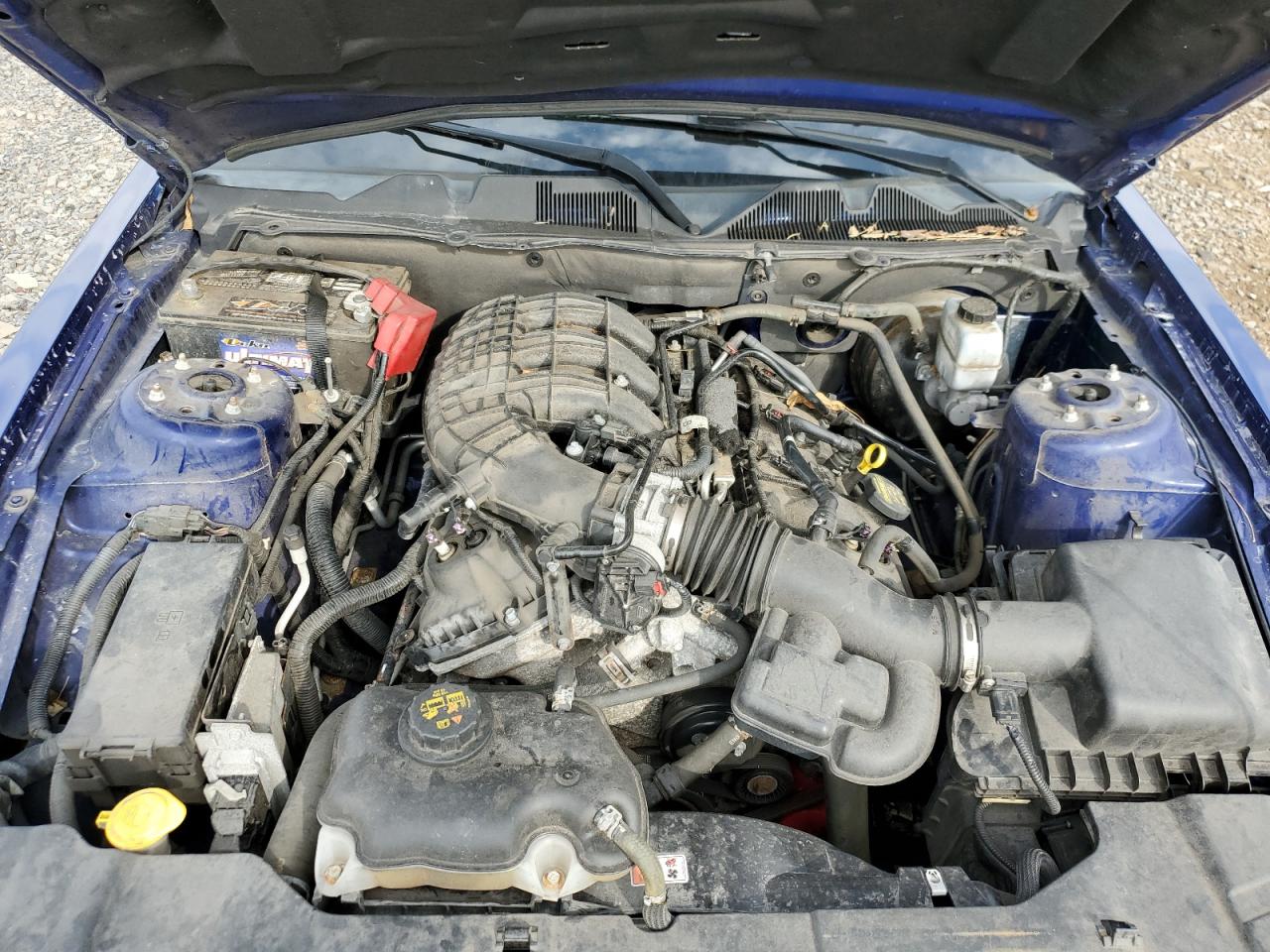 2013 Ford Mustang Blue vin: 1ZVBP8AM0D5275880